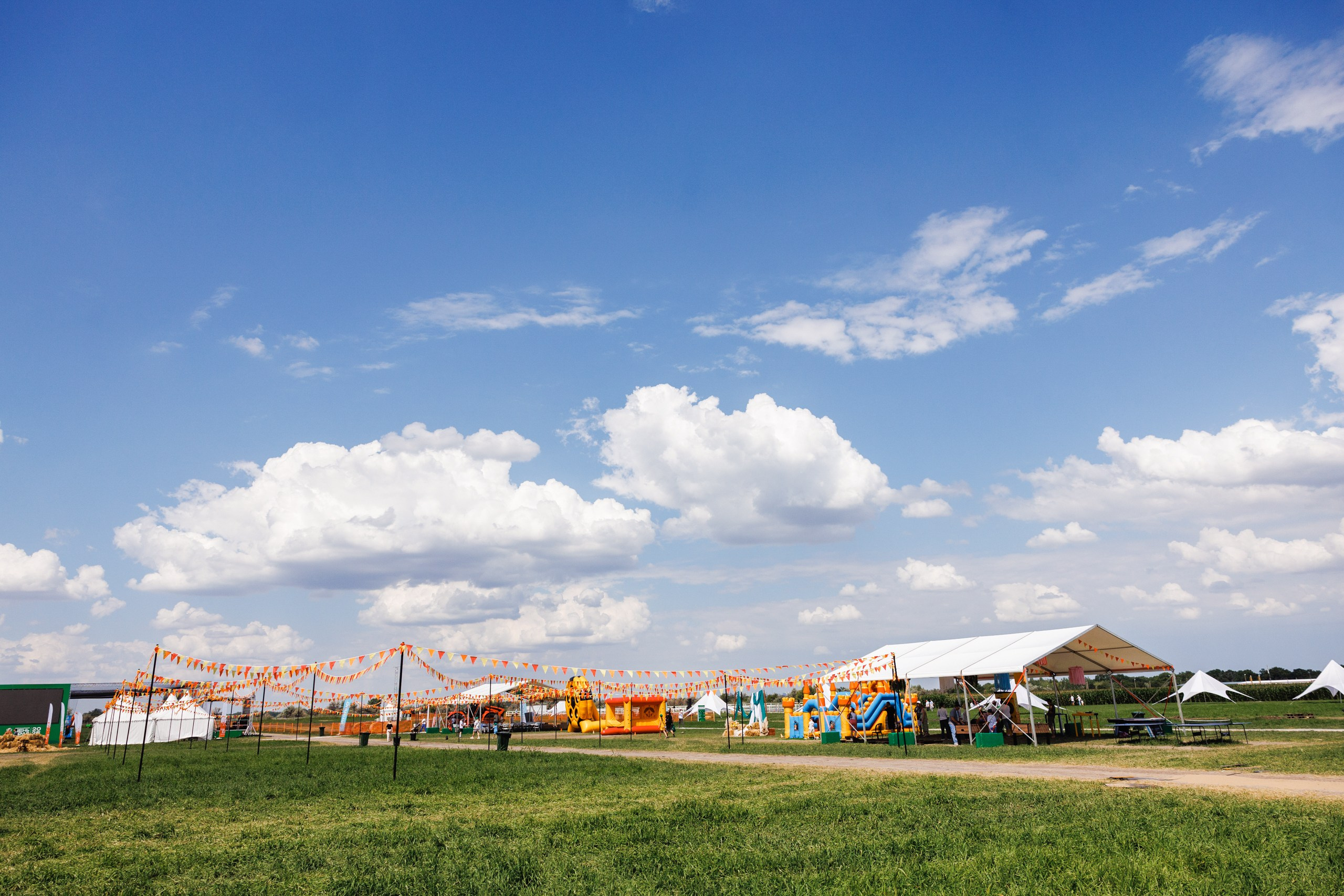 День Поля 2025 Волгоград. Фотограф Ставрополь Петр Голубенко