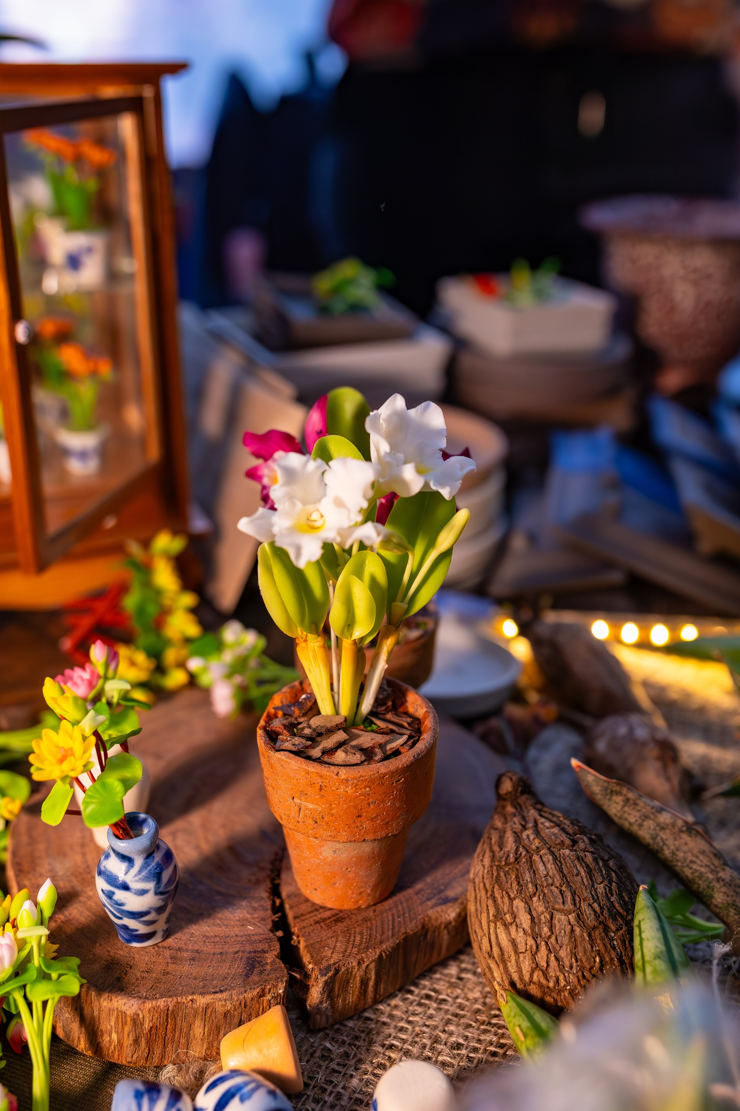 Орхидиум сентябрь 2025. Александра Куликова фотограф, Москва