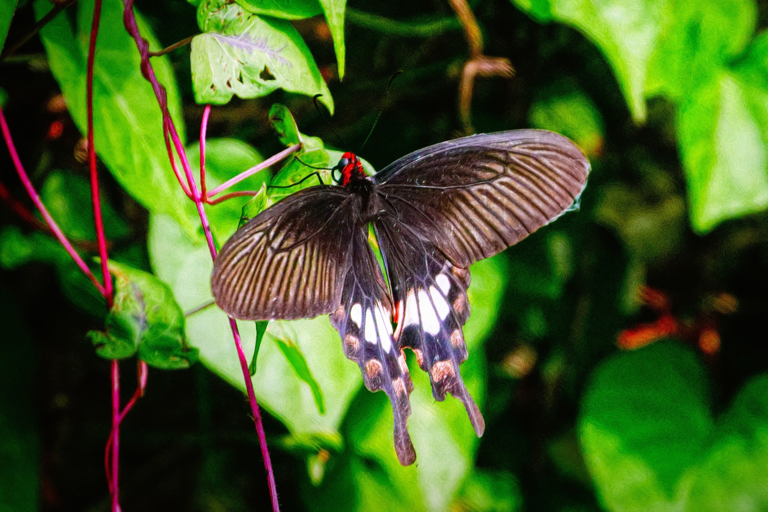 ПРИРОДА. Слепки времени. Фотографии природы и событий. Москва. Сергей Аллагулов