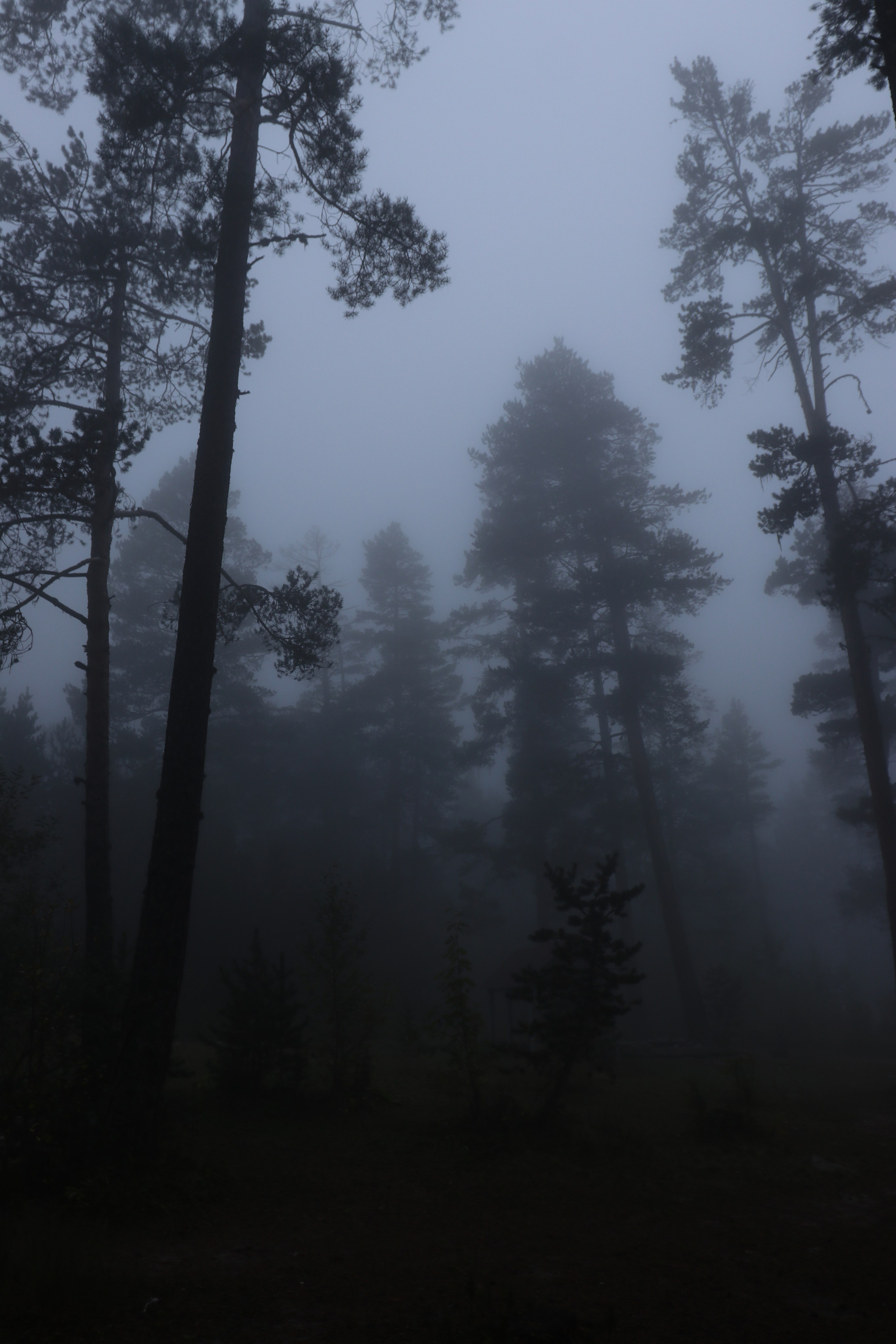 Приэльбрусье. Сентябрь 2024. Путешественник-фотограф из Санкт-Петербурга Татьяна Свистулина