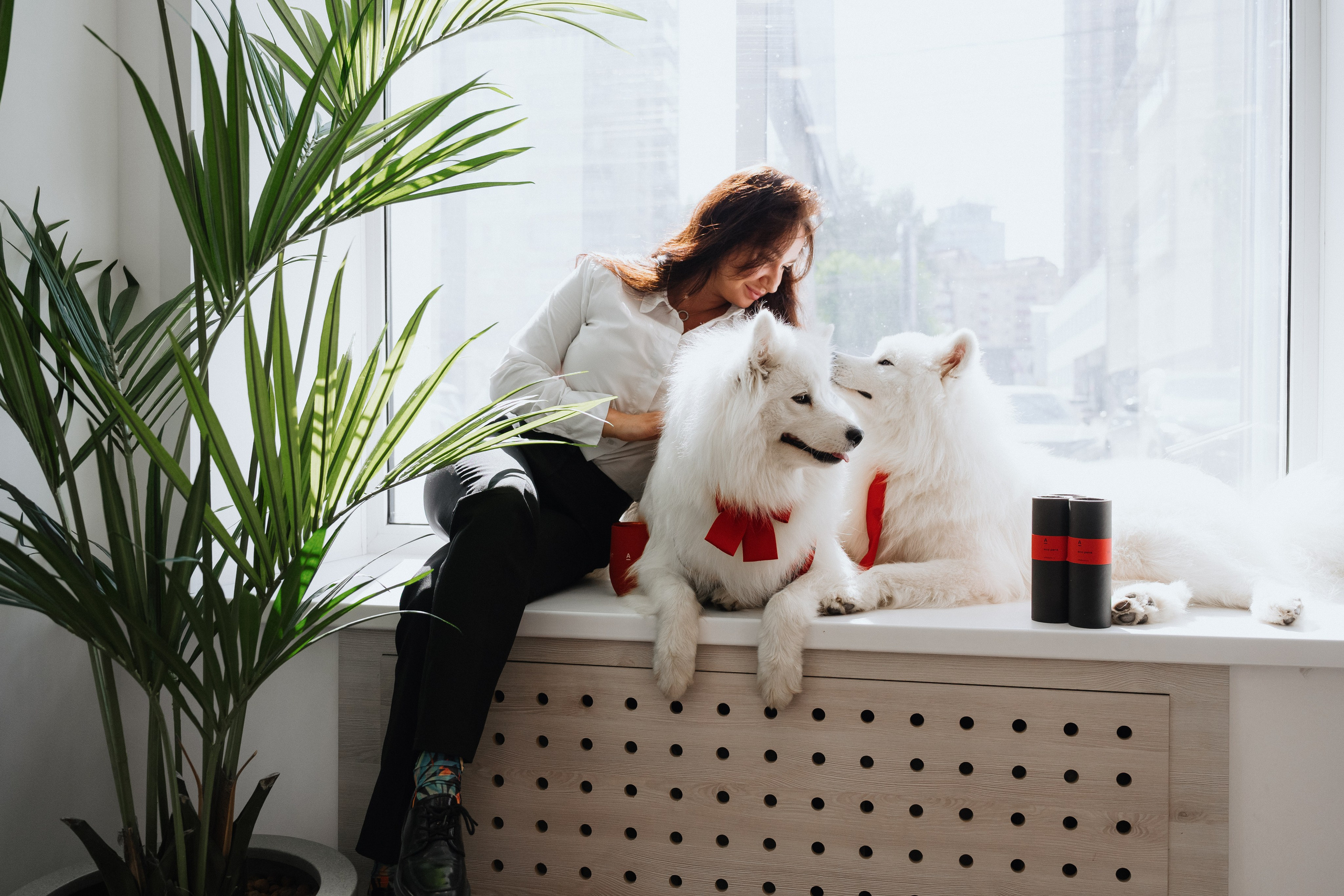 Фотосессия с самоедами