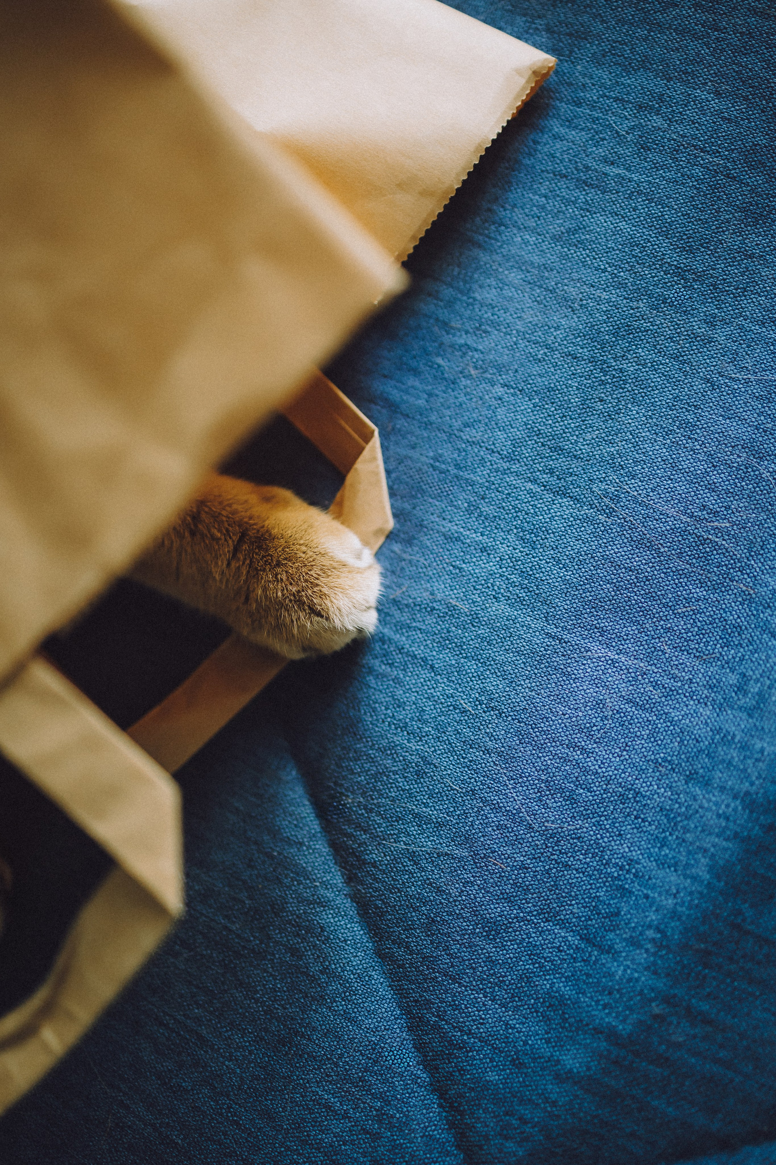 Генри и его семья