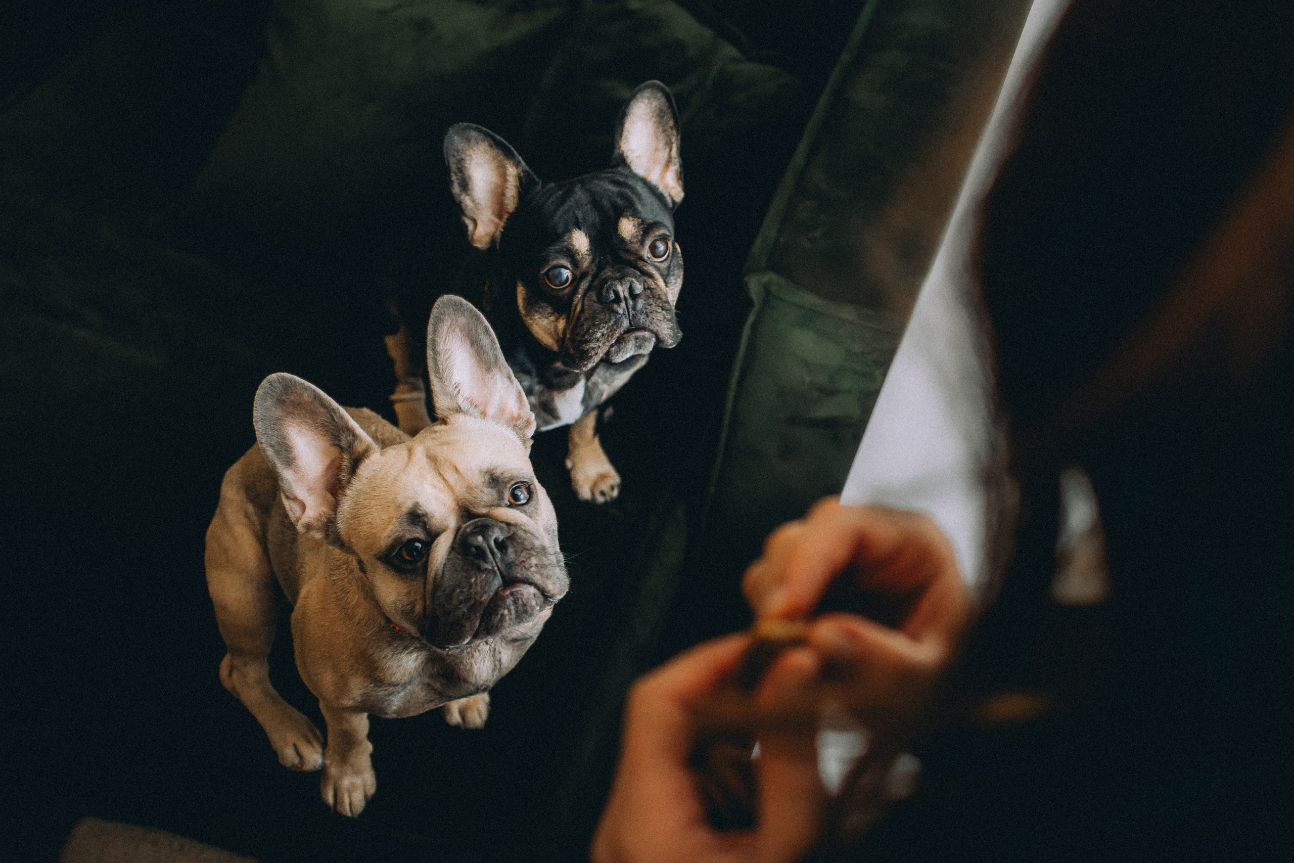 Юля, Мия и Зек