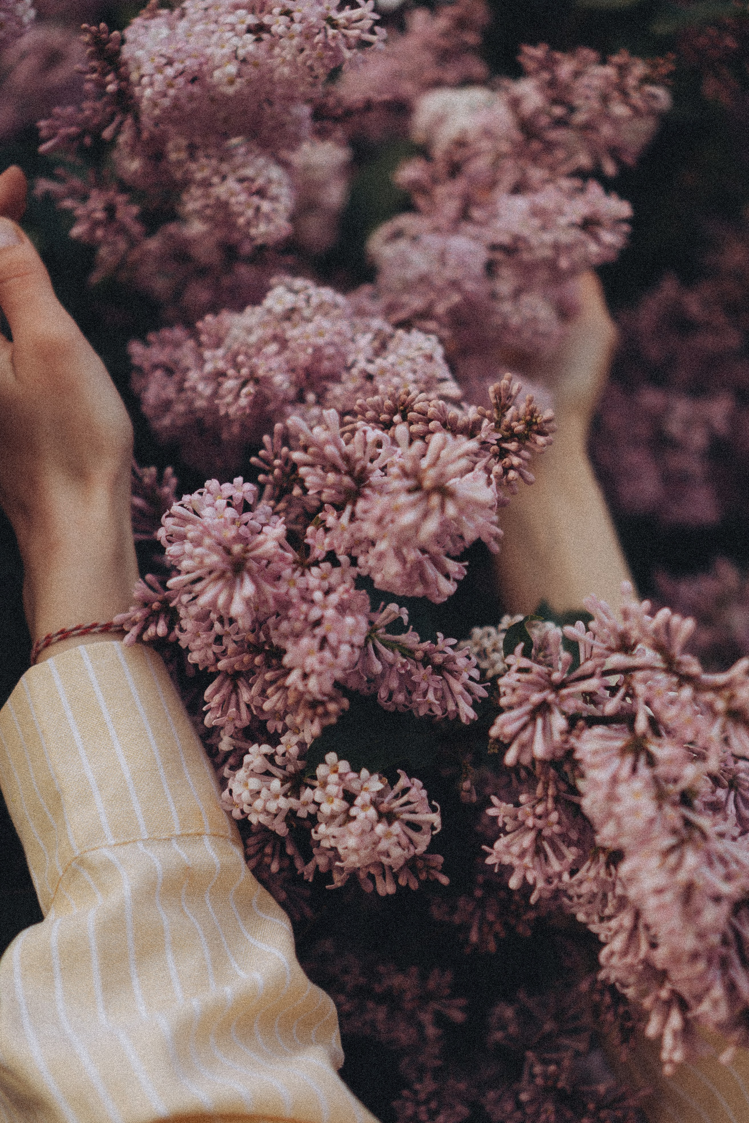 Весна. Профессиональный фотограф, Санкт-Петербург — Виктория Богомолова