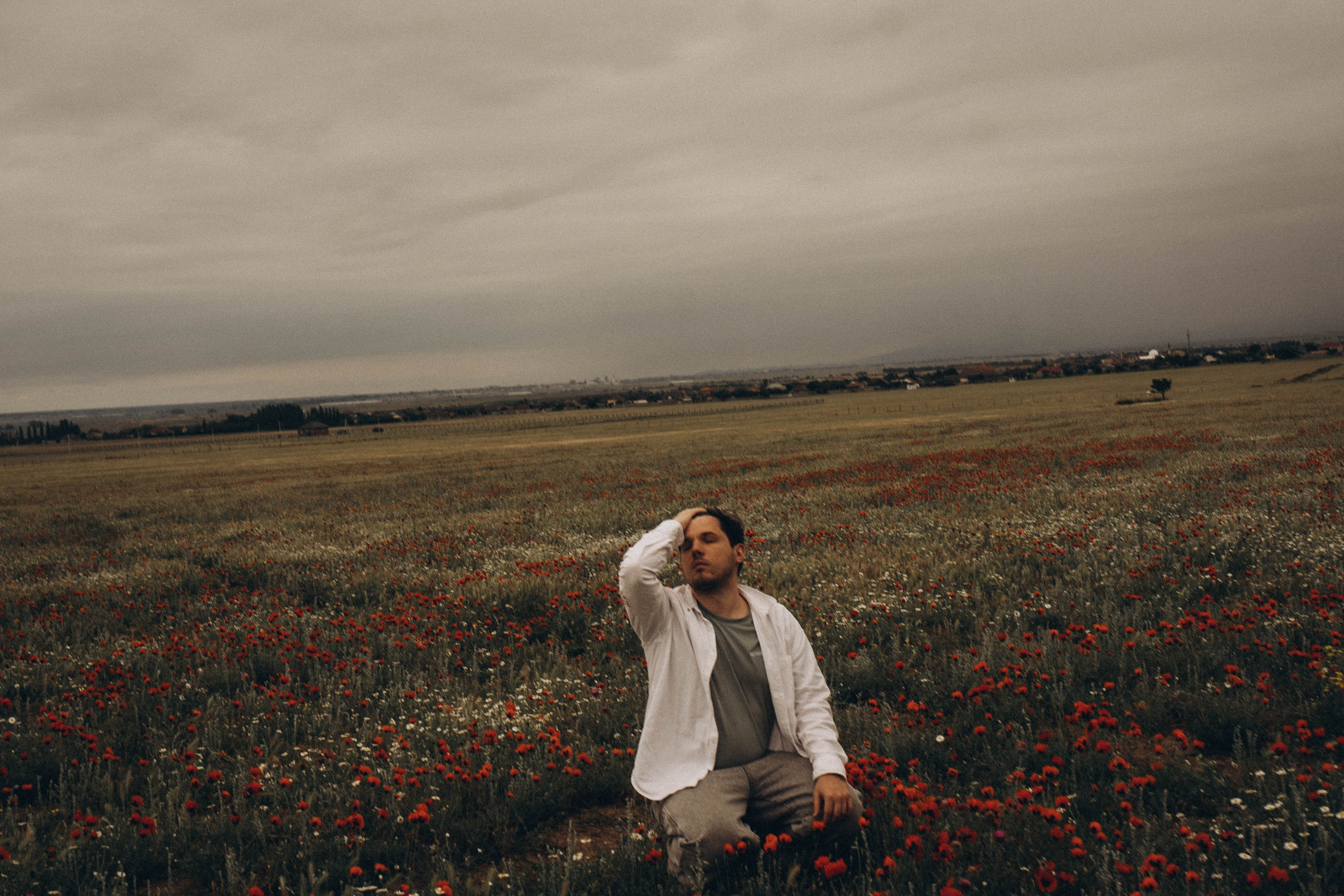 Маки. Профессиональный фотограф, Санкт-Петербург — Виктория Богомолова