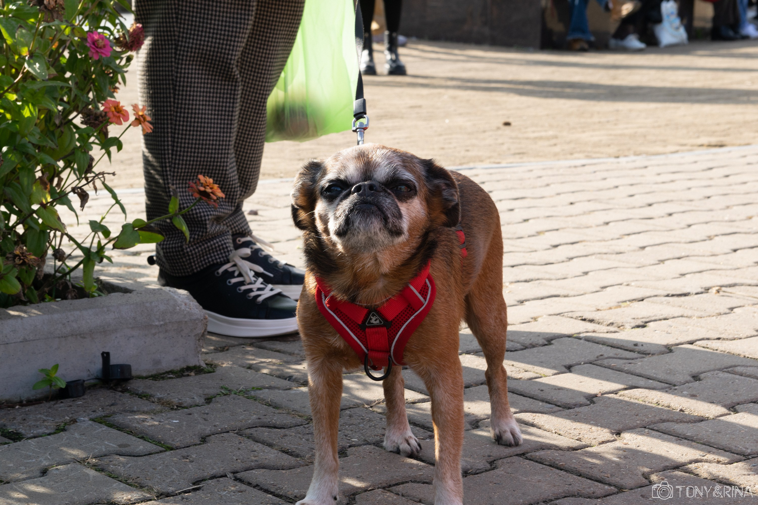 Рок в защиту животных 2023 Хабаровск - Антон Курдюмов фотограф в Хабаровске Рина Курдюмова фото27 foto27 Антон Дорофеев Тони и Рина фотосоздатели Хабаровск