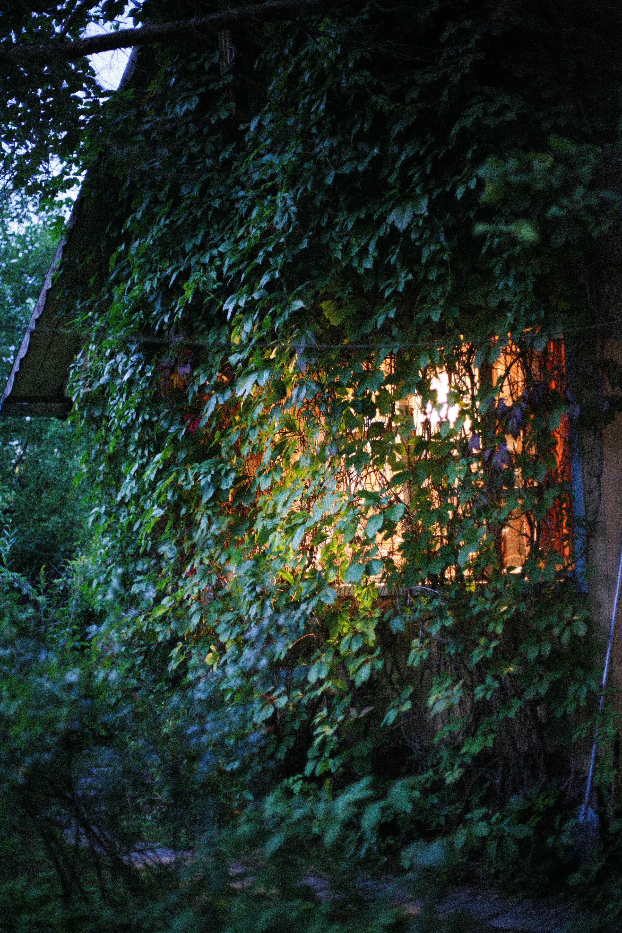 Три поколения. Фотограф Екатерина Максимова: семейные, индивидуальные съемки, свадьбы