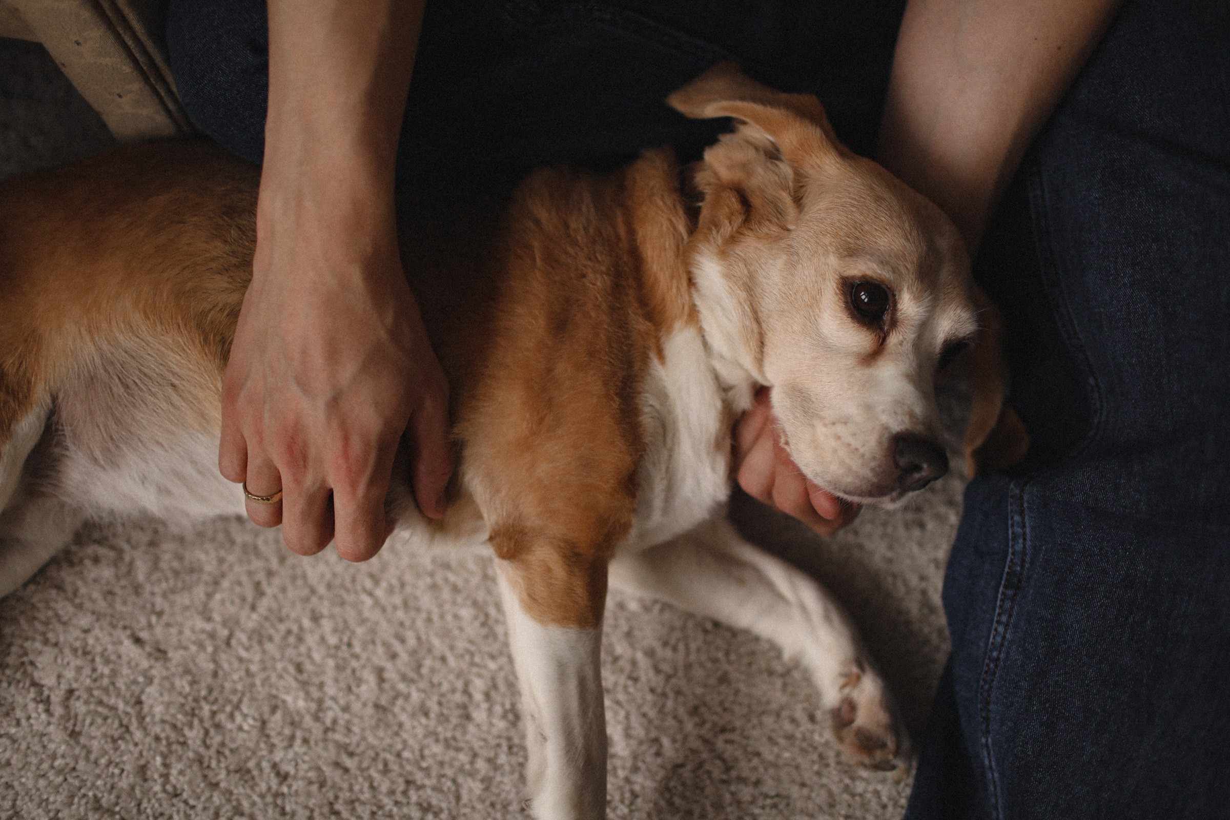 Одновременно. Семейный фотограф в Москве Алевтина Носова