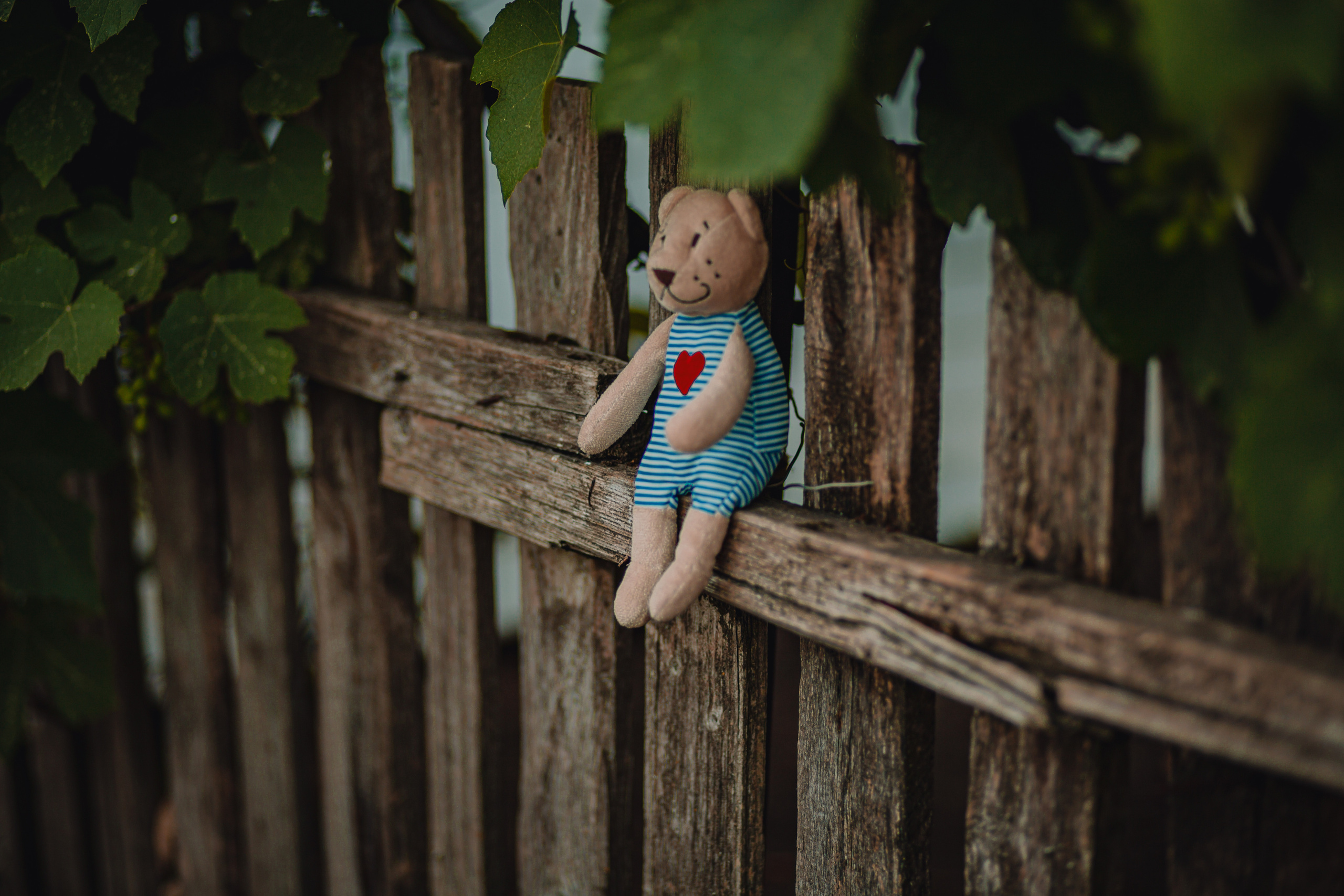 Лето в деревне. Фотограф Неверова Катерина