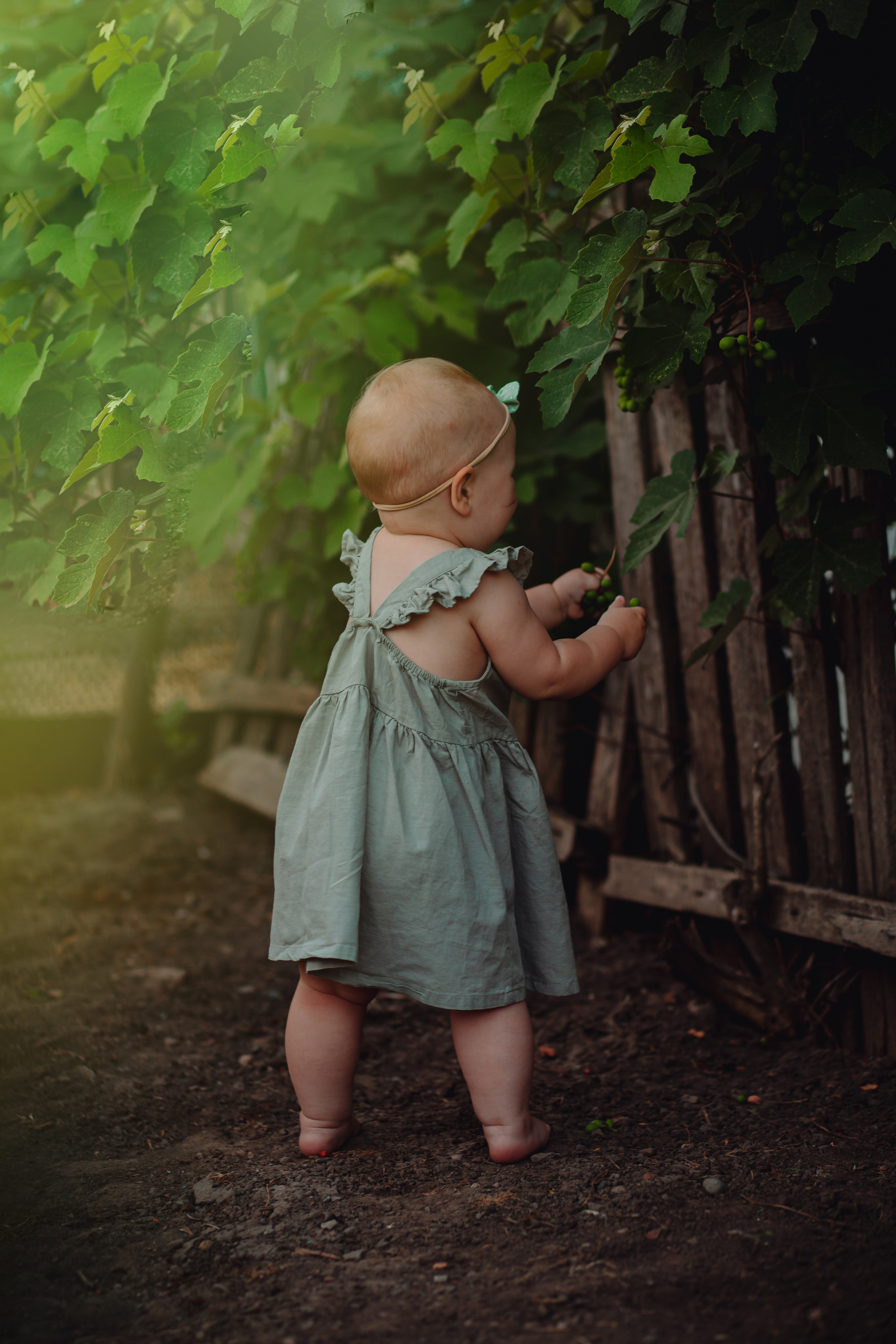Лето в деревне. Фотограф Неверова Катерина