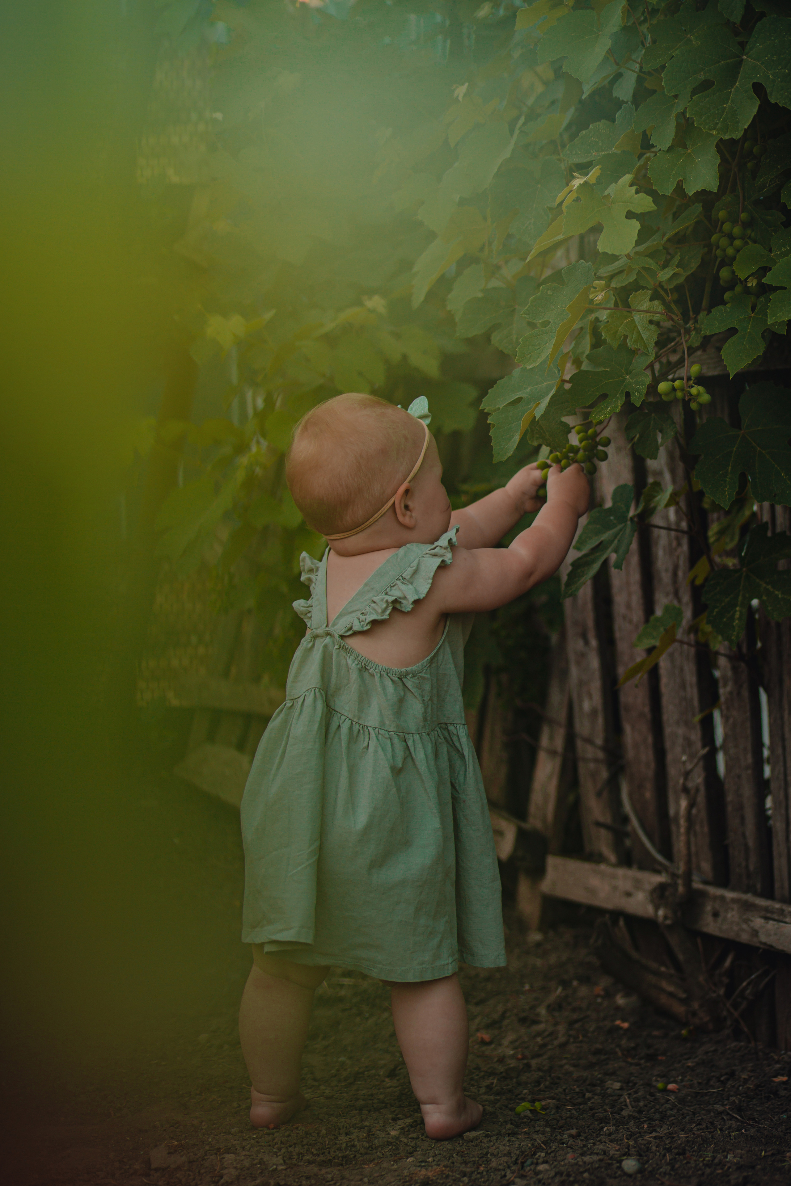 Лето в деревне. Фотограф Неверова Катерина