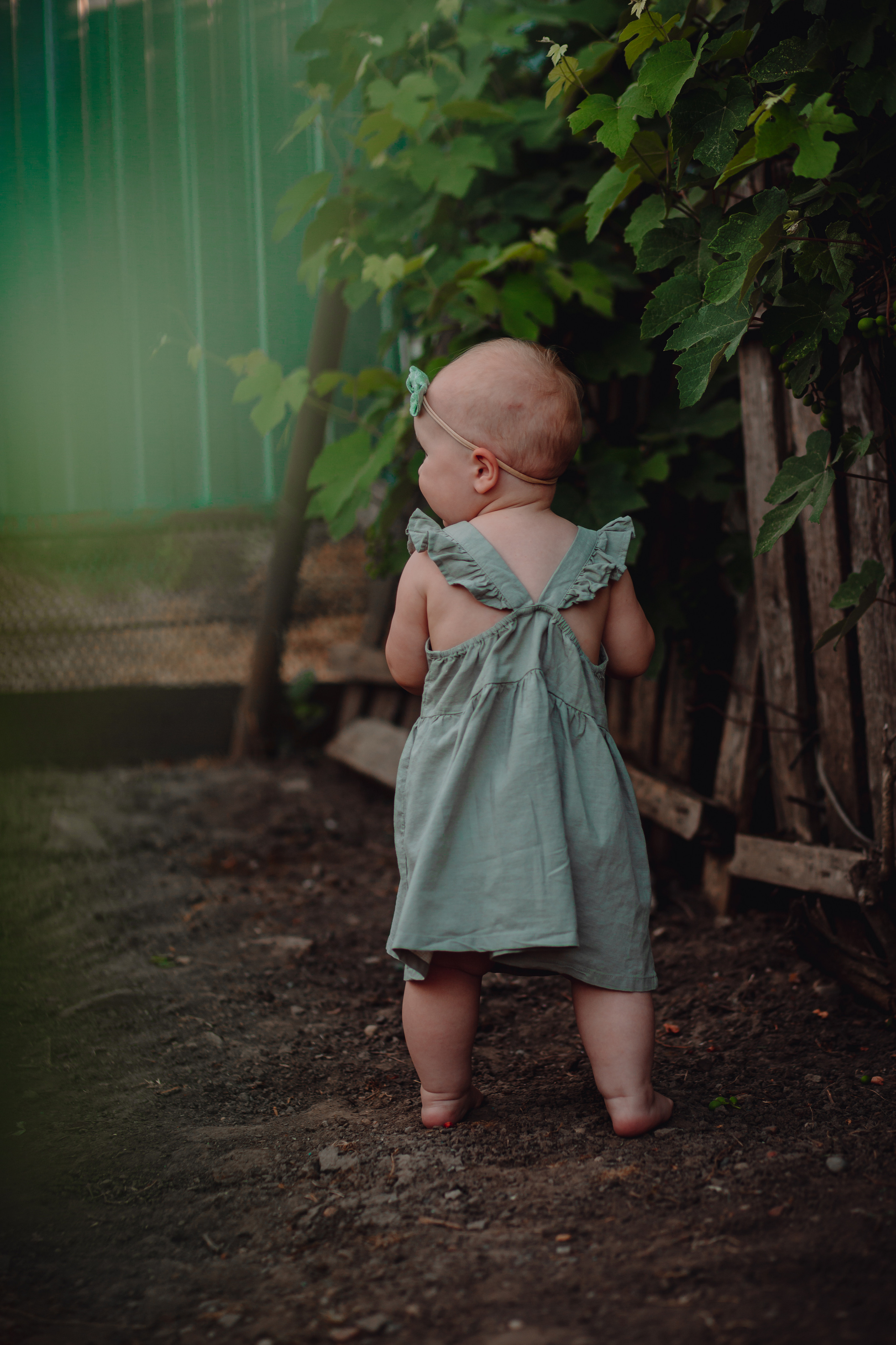 Лето в деревне. Фотограф Неверова Катерина