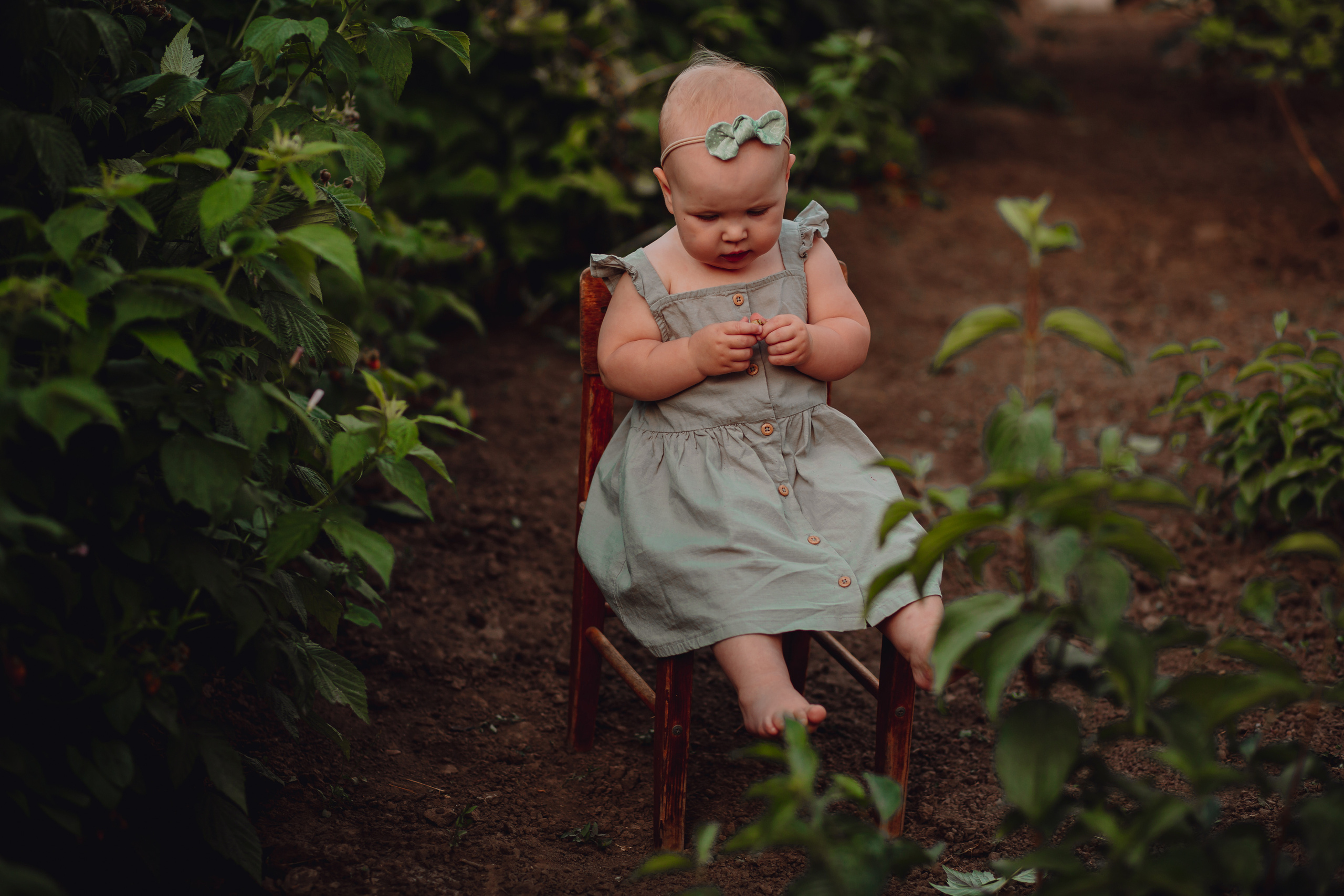 Лето в деревне. Фотограф Неверова Катерина