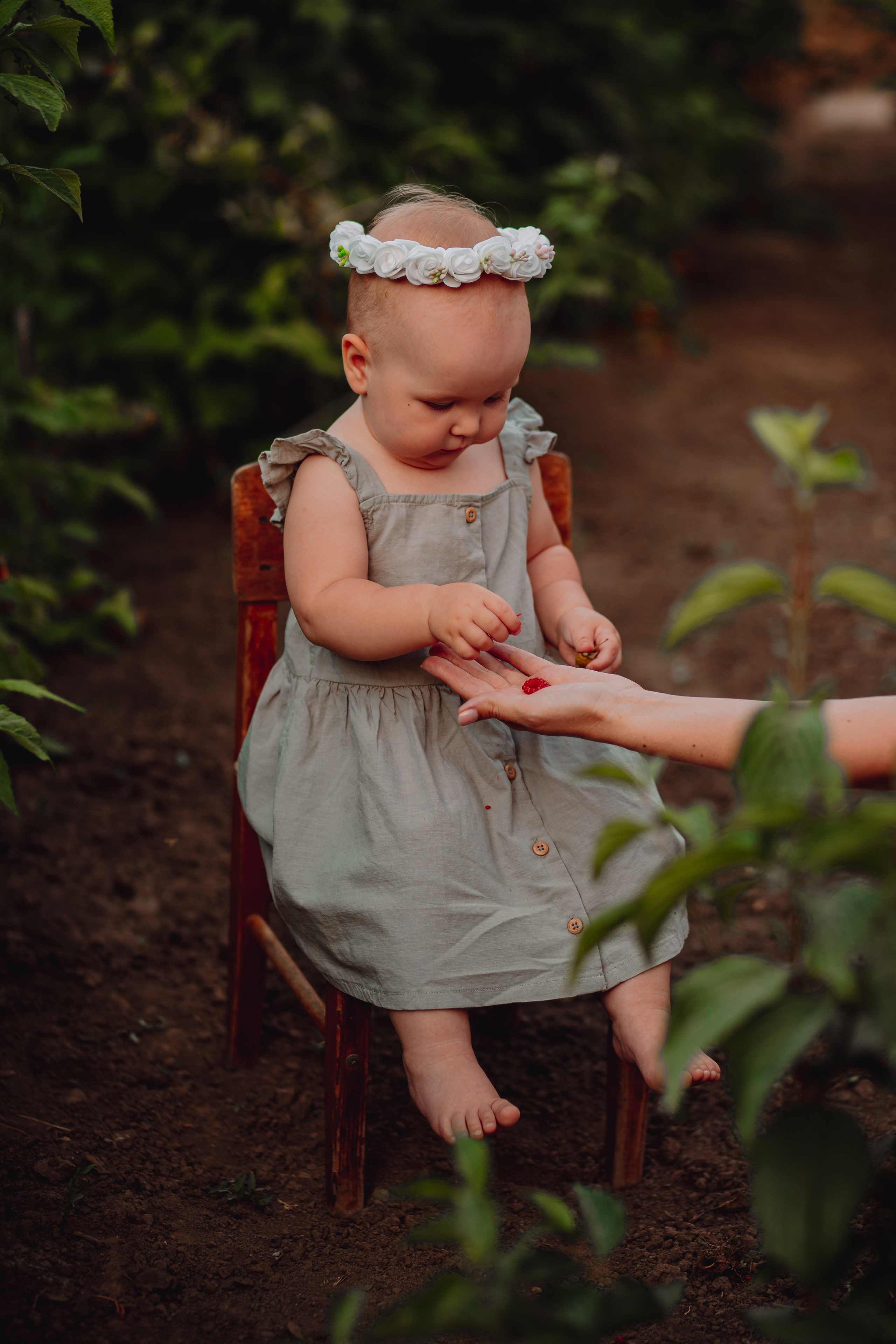 Лето в деревне. Фотограф Неверова Катерина