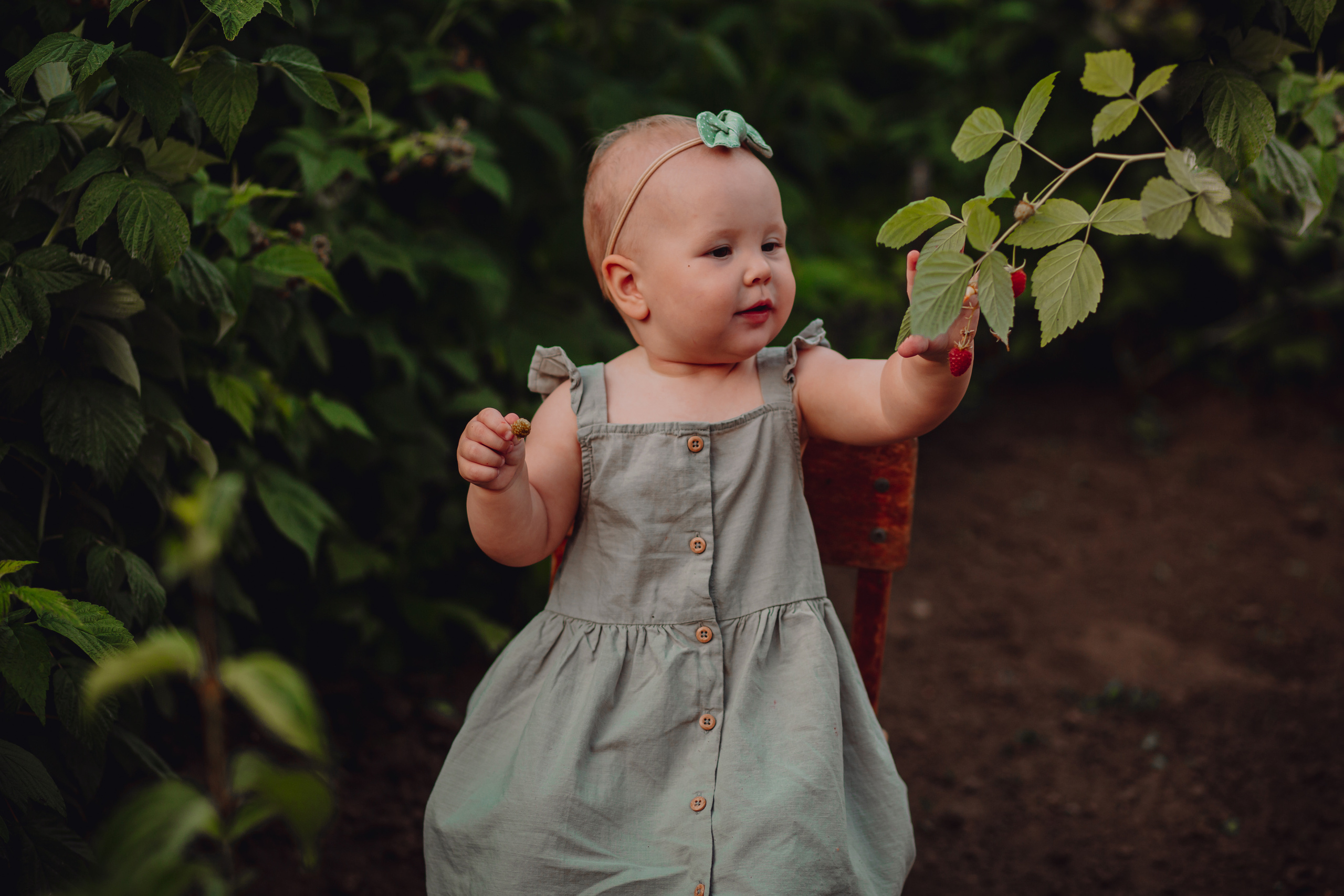Лето в деревне. Фотограф Неверова Катерина