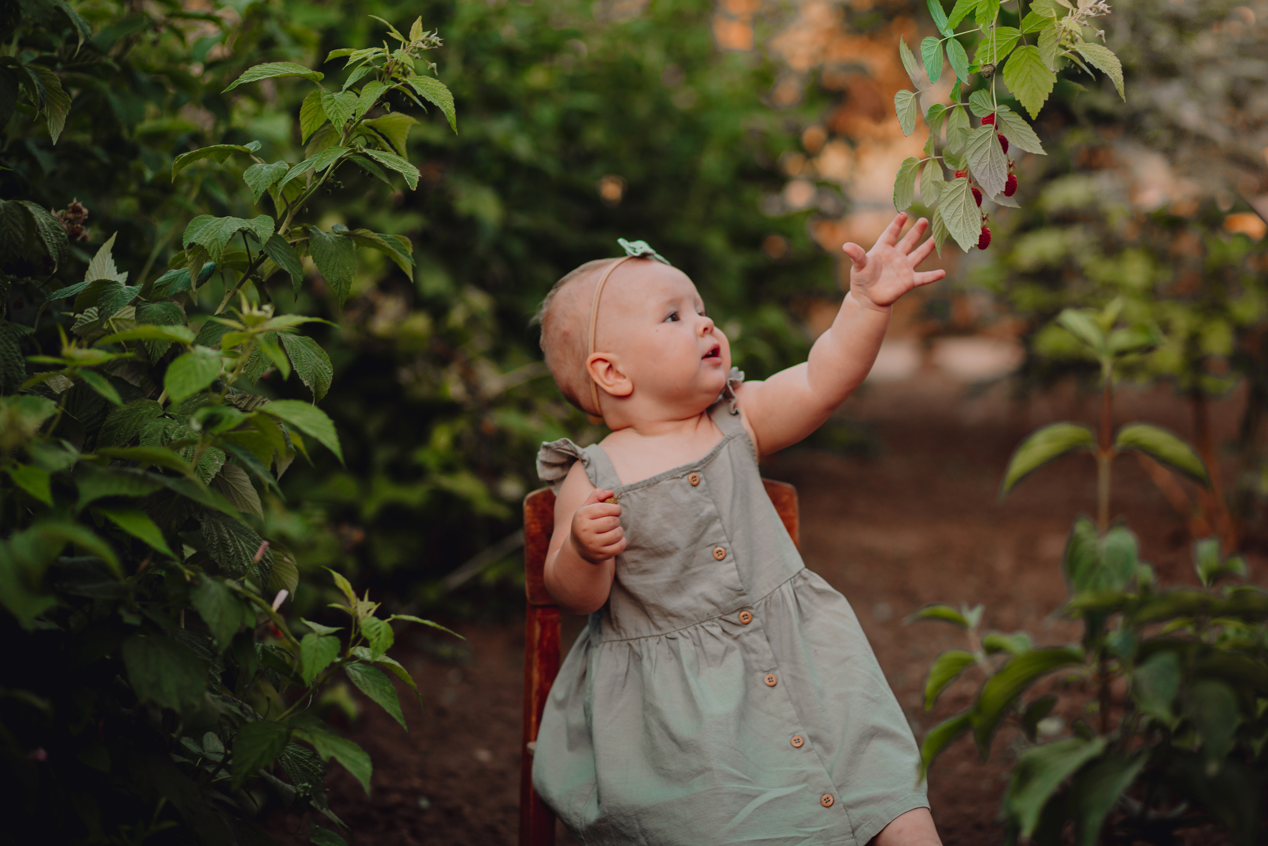 Лето в деревне. Фотограф Неверова Катерина
