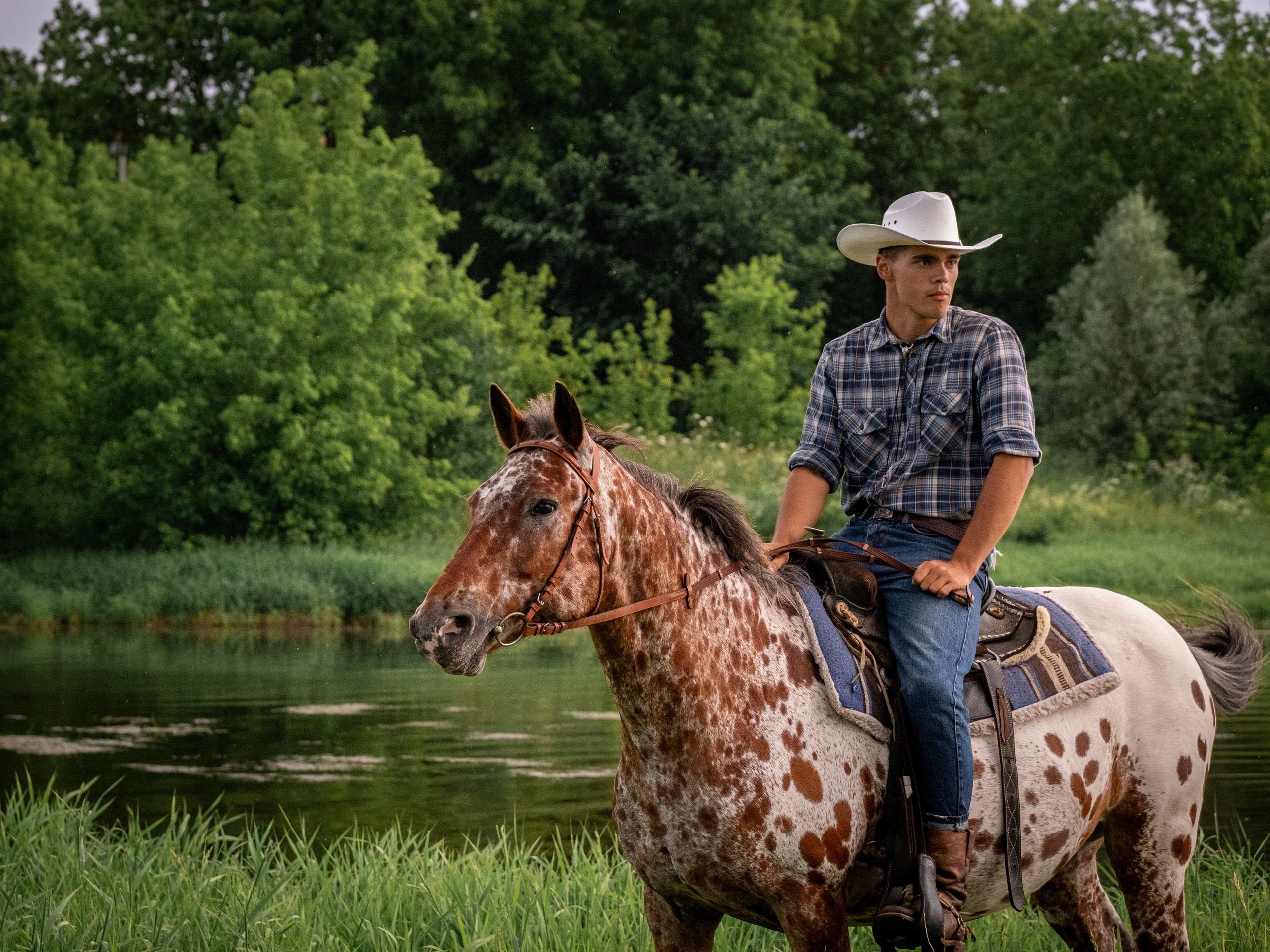 Люди и лошади!. Зоофотограф, фотограф животных в Москве и области Дина Дамоцева