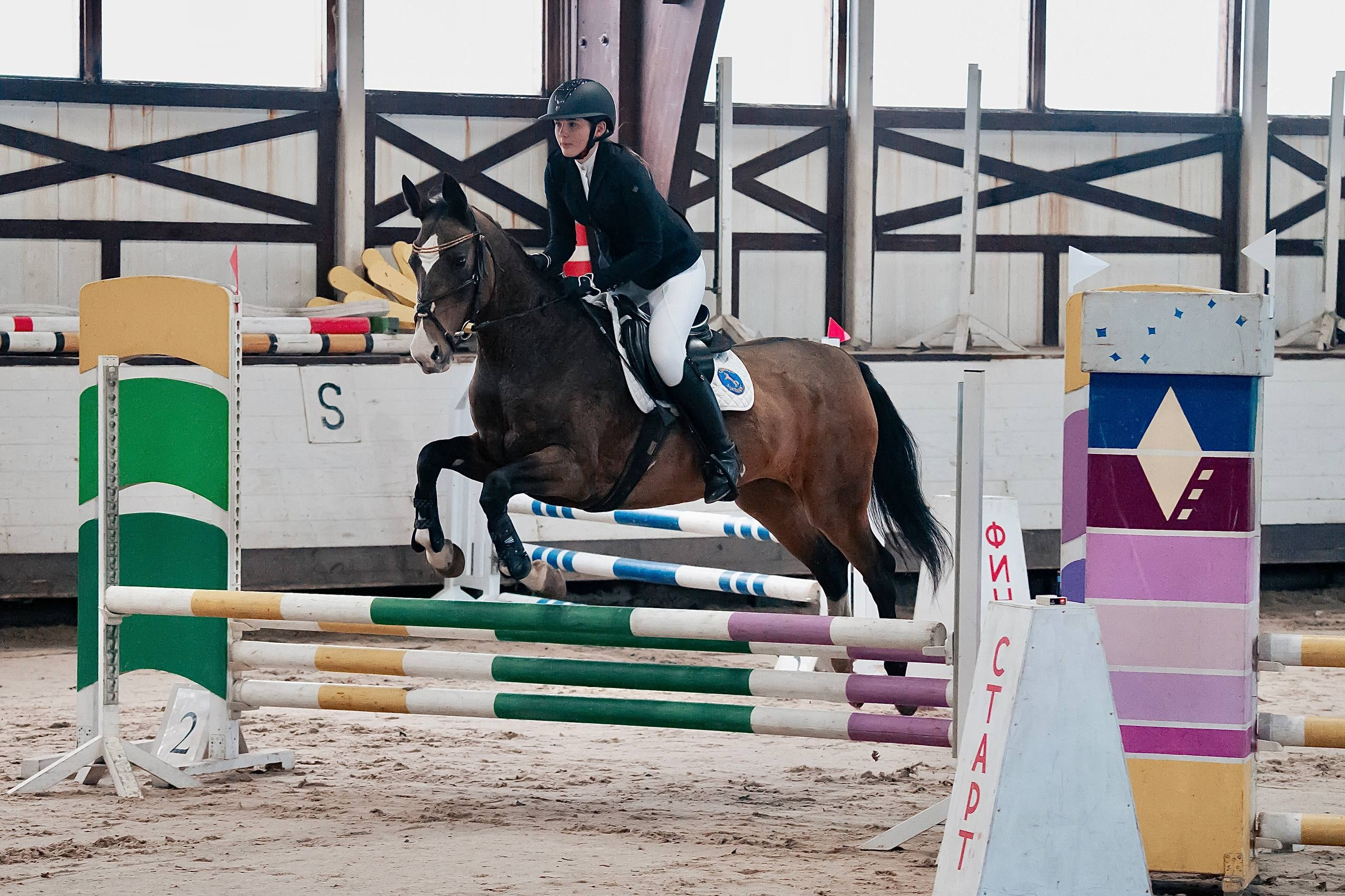 ОТКРЫТИЕ ЗИМНЕГО СЕЗОНА ПО КОНКУРУ В КСК «БЕЛАЯ ДАЧА». Куракина Дарья • Конный фотограф