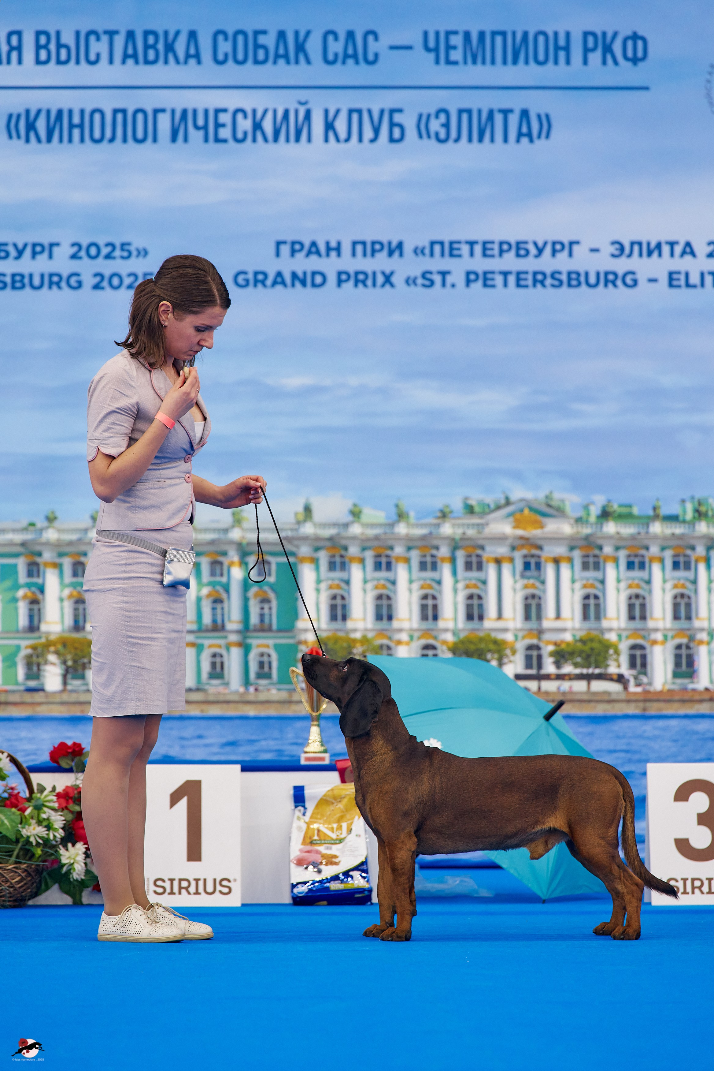 27.04.2025 | "Петербург-Элита 2025" & «КУБОК «ЭЛИТЫ»-2025»