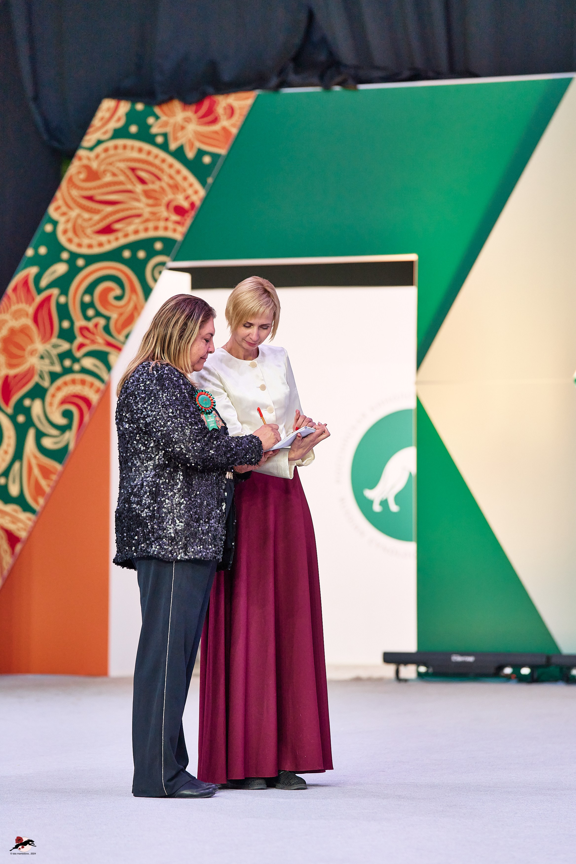 17.11.2024 «ЕВРАЗИЯ. КУБОК СНГ 2024»