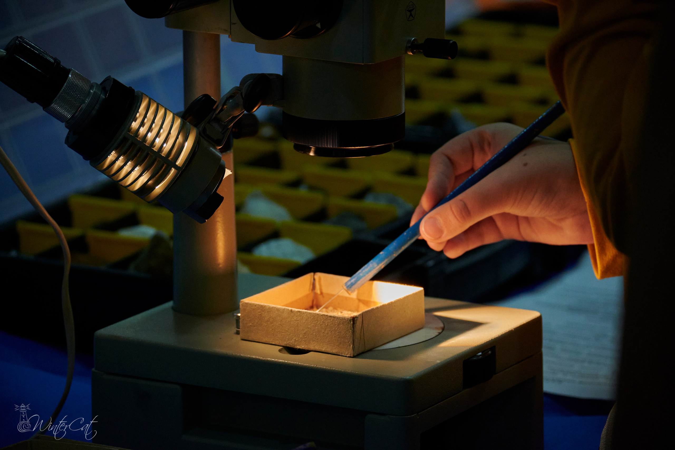 Калейдоскоп МЦК 28.09.24. Портретный и репортажный фотограф в Магадане Андрей Нефедов WinterCatPhoto