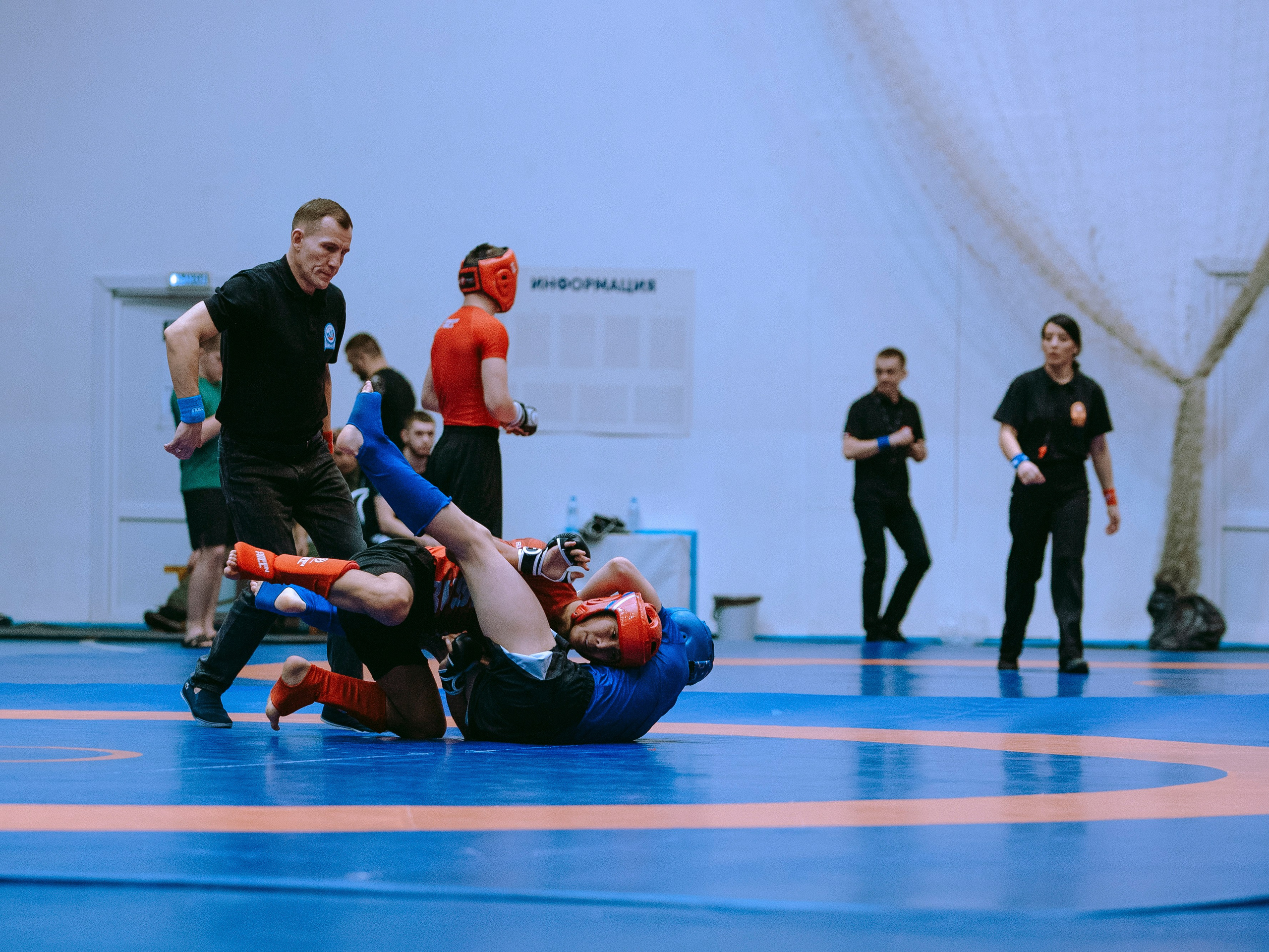 ПАНКРАТИОН | Чемпионат и первенство СФО | март `24. Портретный фотограф в Москве Дарья Цезария