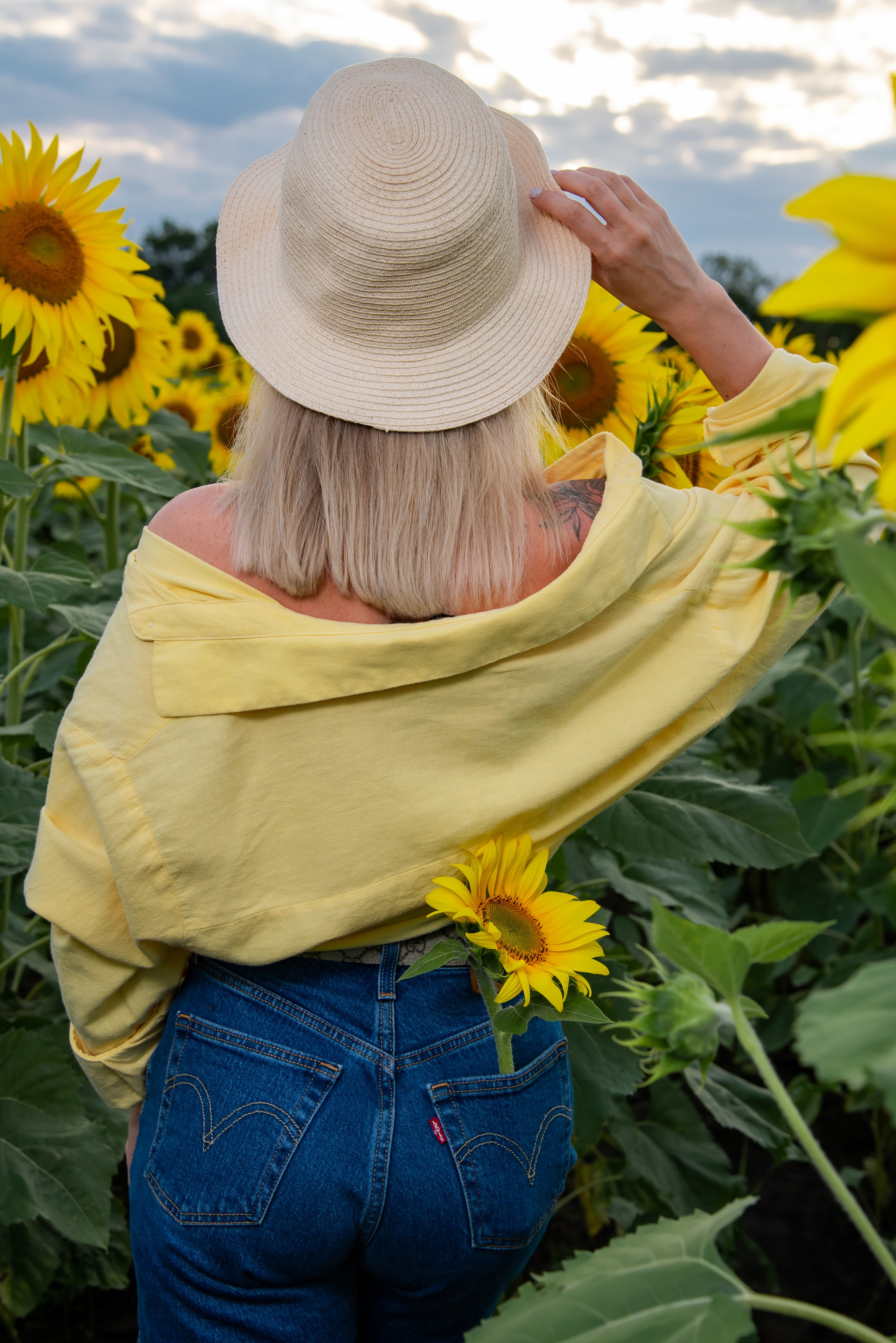 Подсолнух. Фотограф Галина Нестерова
