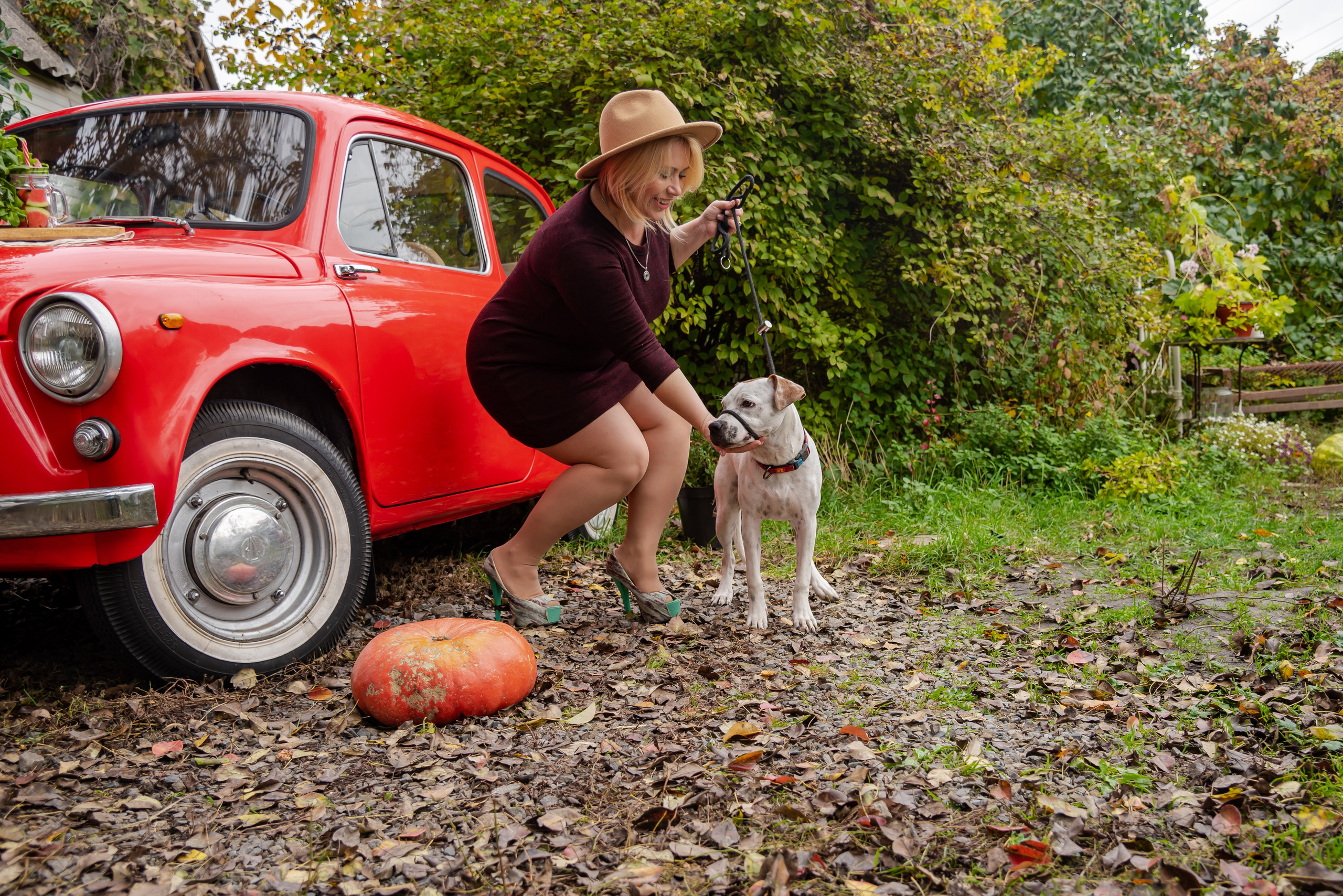 Авакадо. Фотограф Галина Нестерова