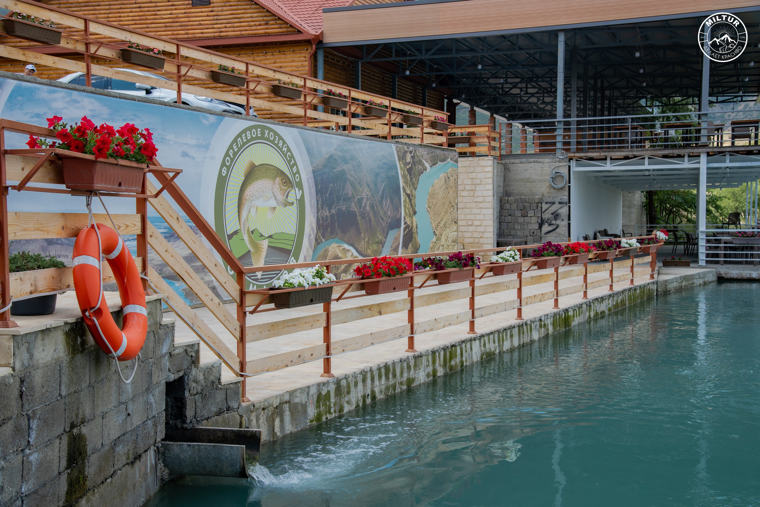 Тур в Чечню. Фотограф Галина Нестерова