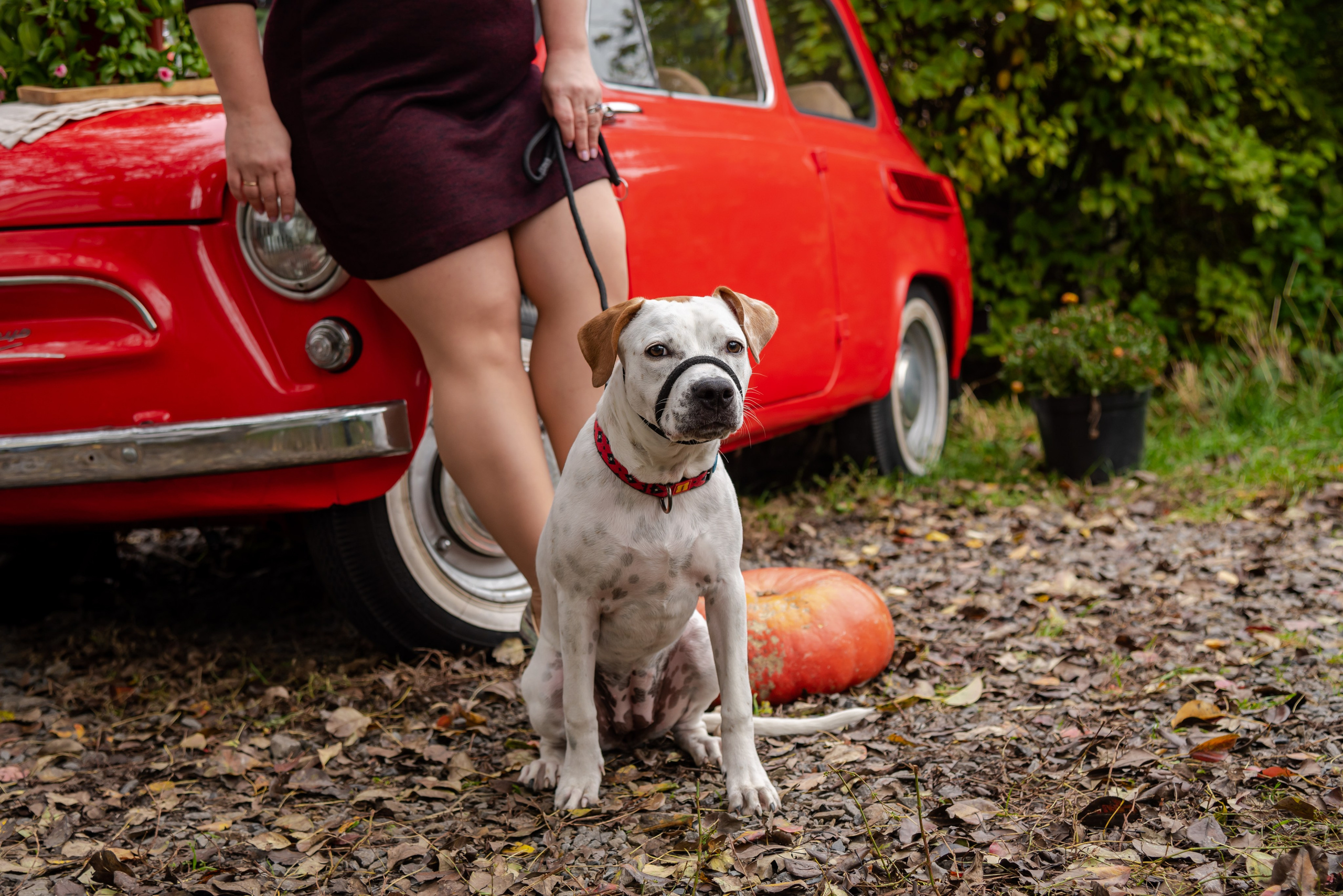 Авакадо. Фотограф Галина Нестерова