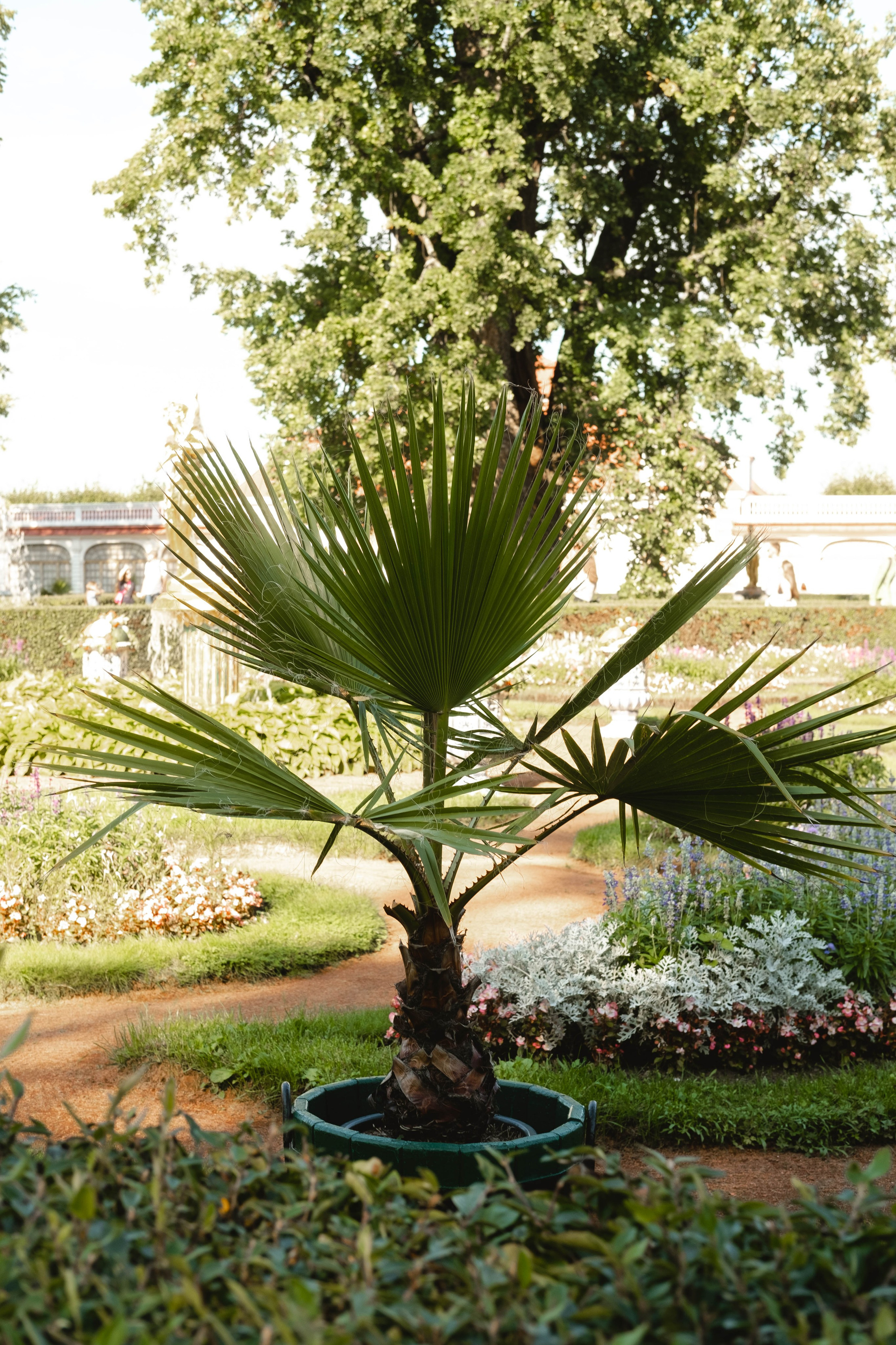 Питер 2024. Свадебный и семейный фотограф в Новосибирске, Санкт-Петербурге, Москве