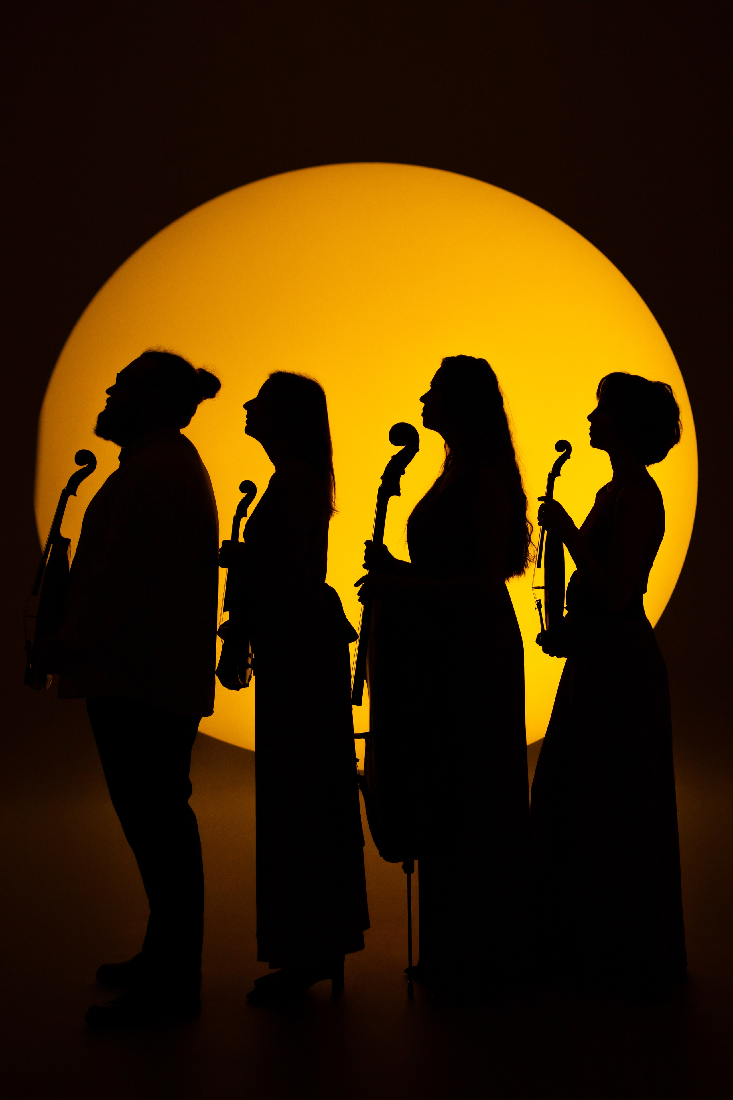 CHAMBER QUARTET. Фотограф Новосибирск Анна Полонова