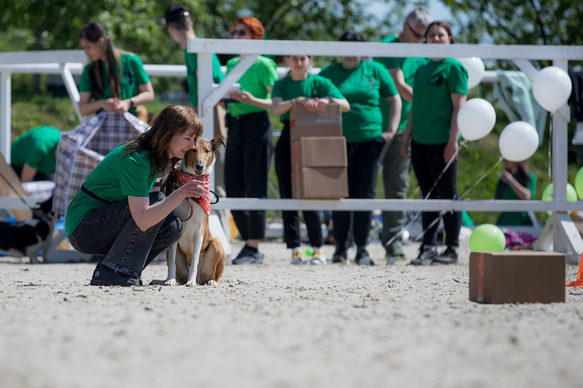 Показательные выступления по NoseWork на выставке «Россия». Фотограф-анималист Mary Mart — Москва, Питер