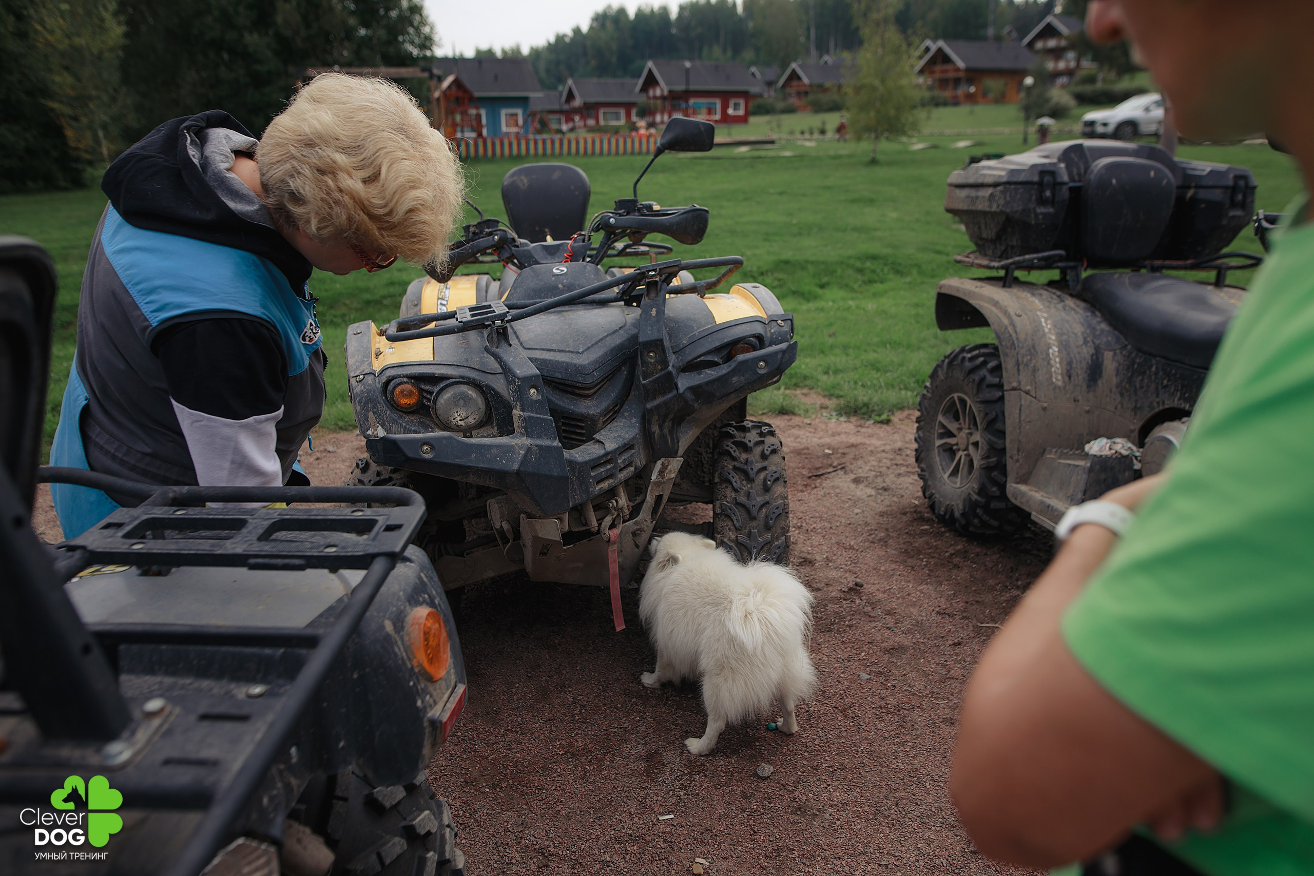 Кинологический лагерь CleverDog, 2024. Фотограф-анималист Mary Mart — Москва, Питер