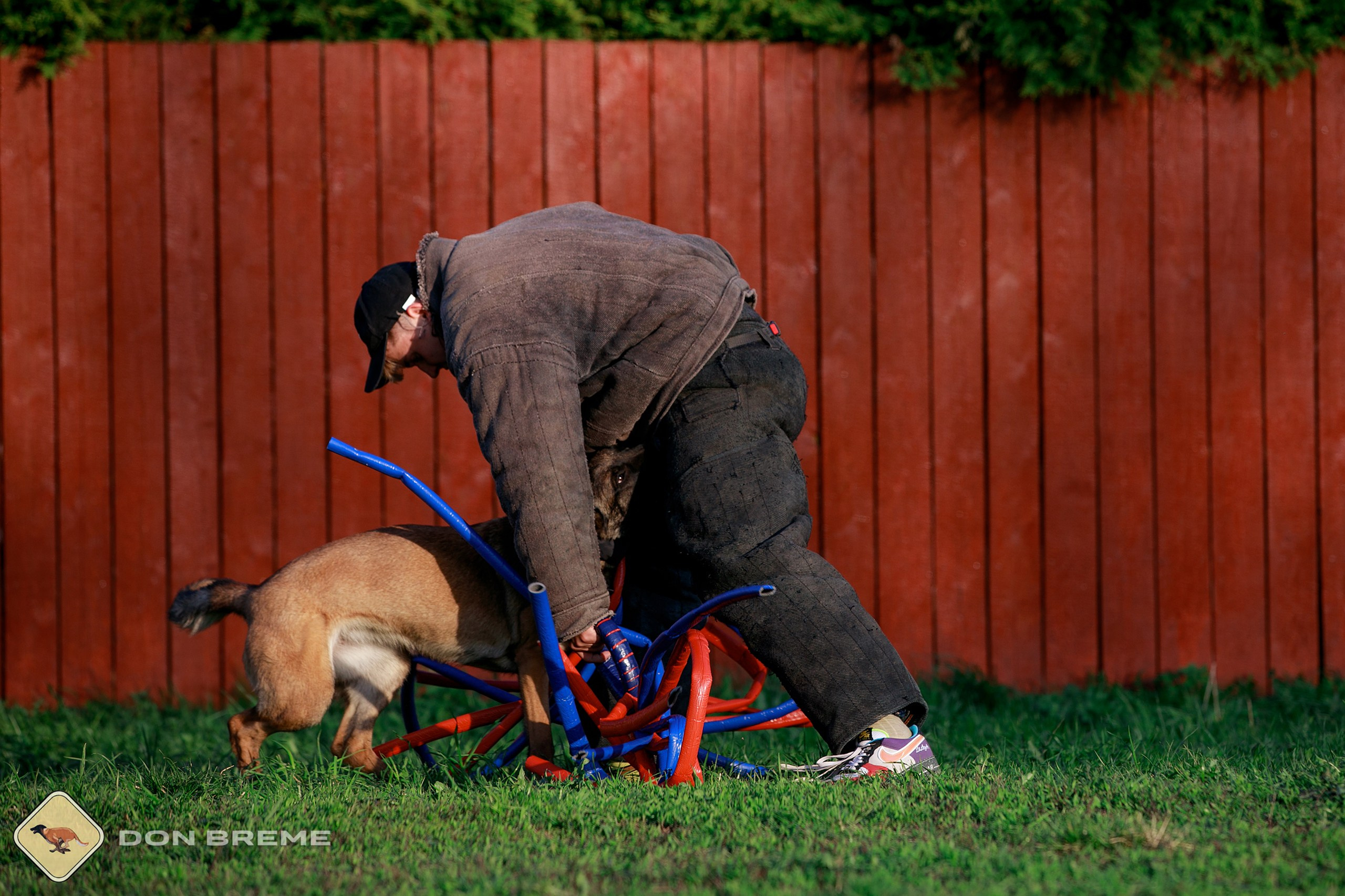 Семинар для фигурантов, день 4. Фотограф-анималист Mary Mart — Москва, Питер