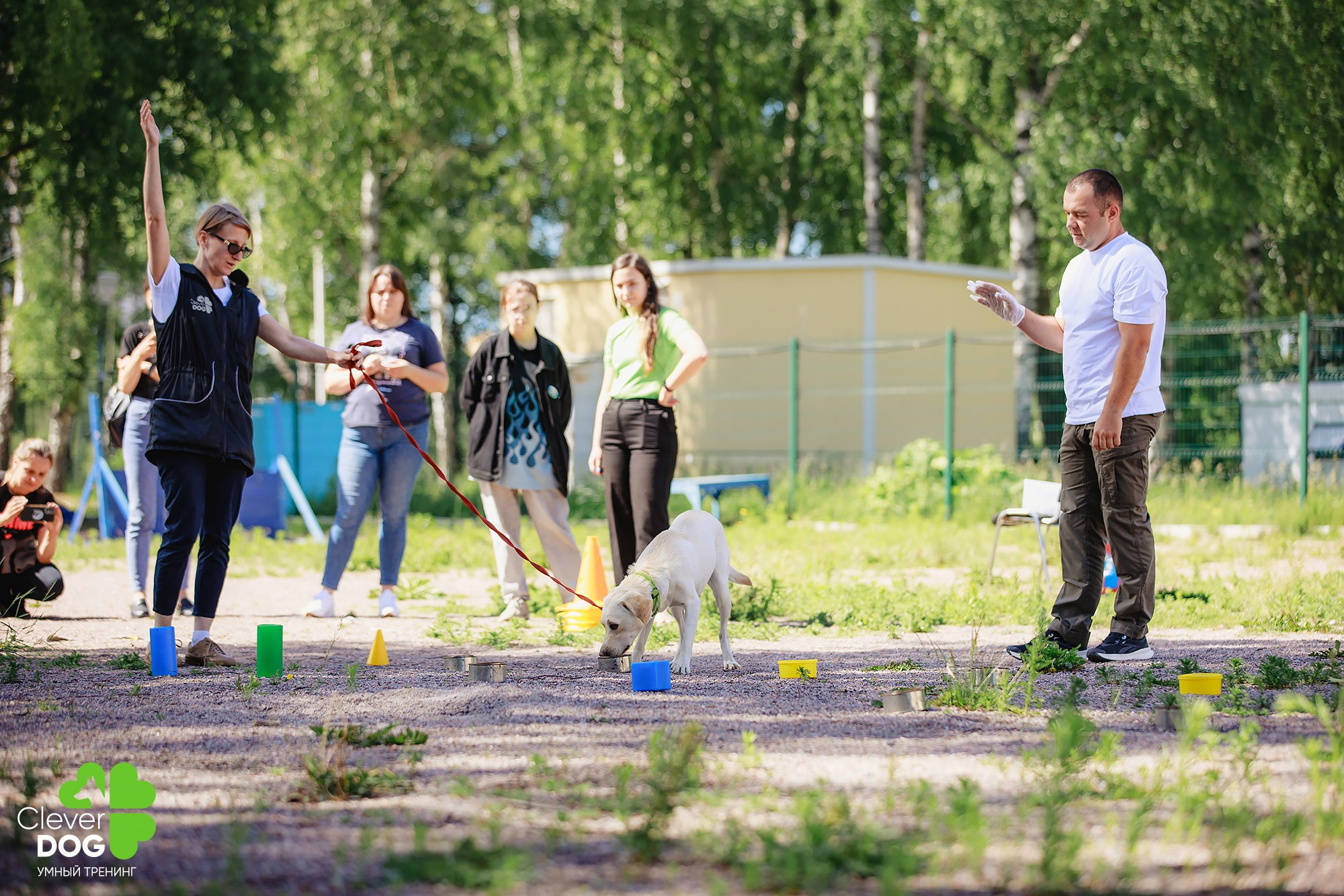 Семинар по поиску запаха с Иваном Ломовым, организатор CleverDog, СПб. Фотограф-анималист Mary Mart — Москва, Питер