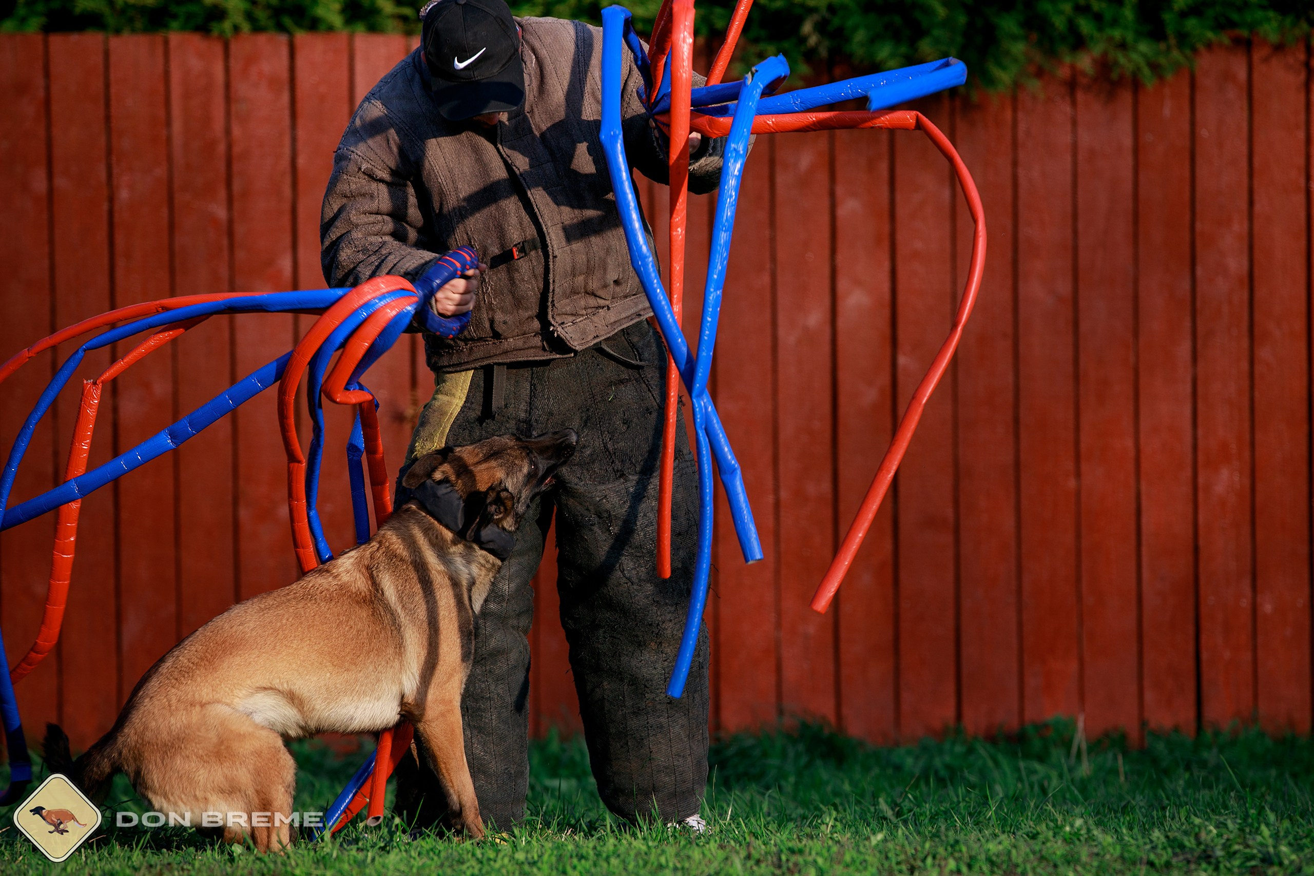 Семинар для фигурантов, день 4. Фотограф-анималист Mary Mart — Москва, Питер