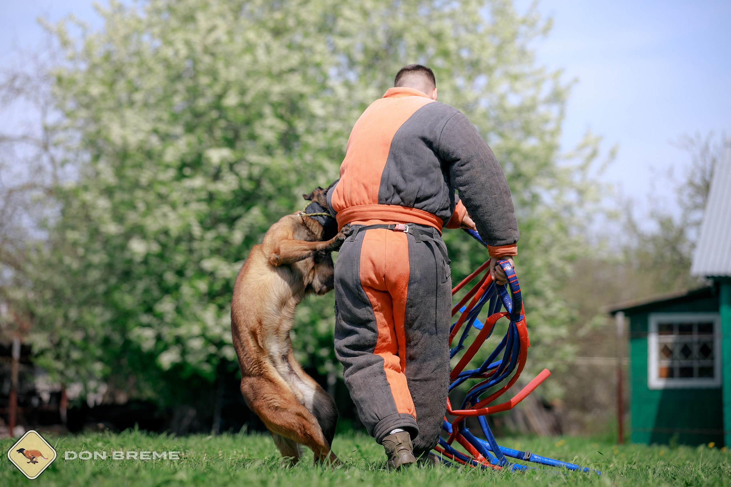 Семинар для фигурантов, день 4. Фотограф-анималист Mary Mart — Москва, Питер