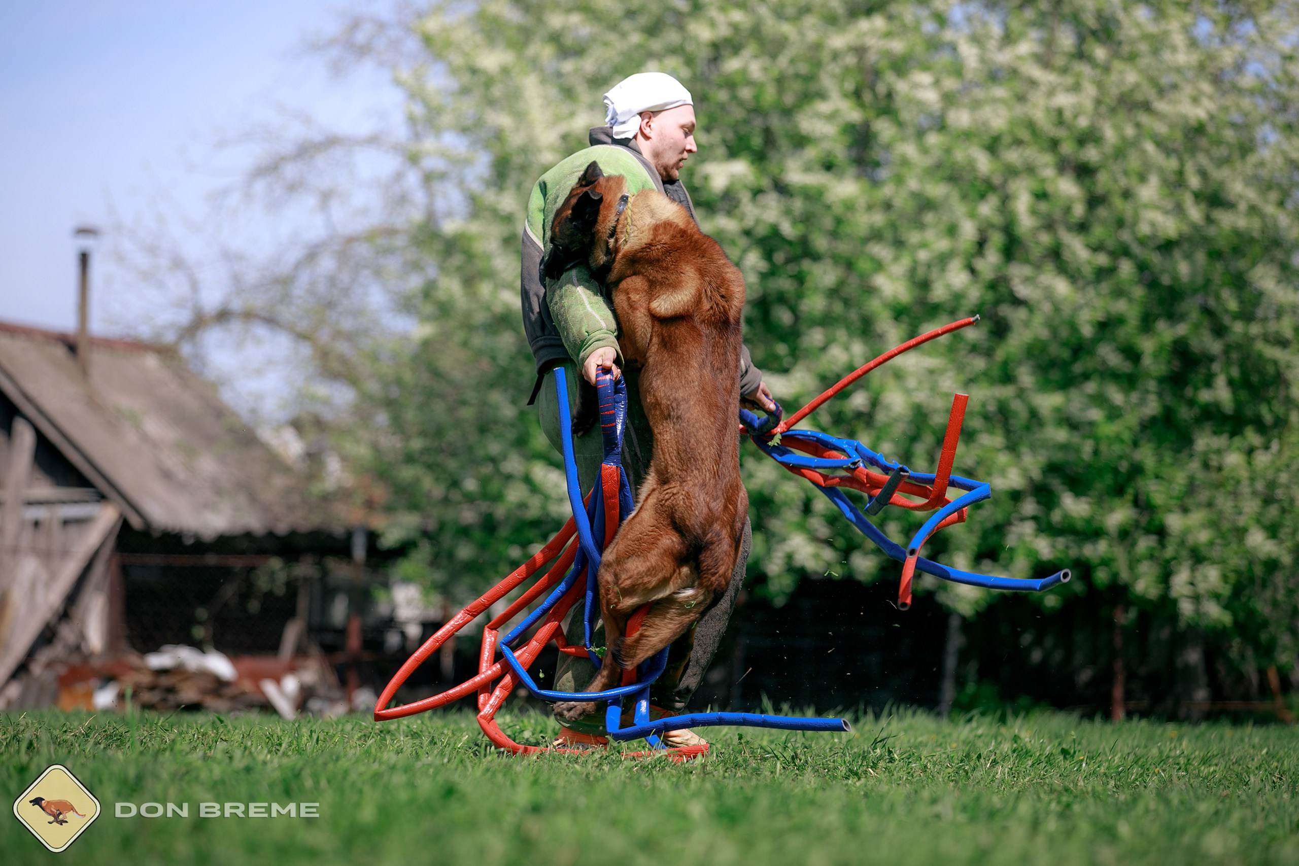 Семинар для фигурантов, день 4. Фотограф-анималист Mary Mart — Москва, Питер