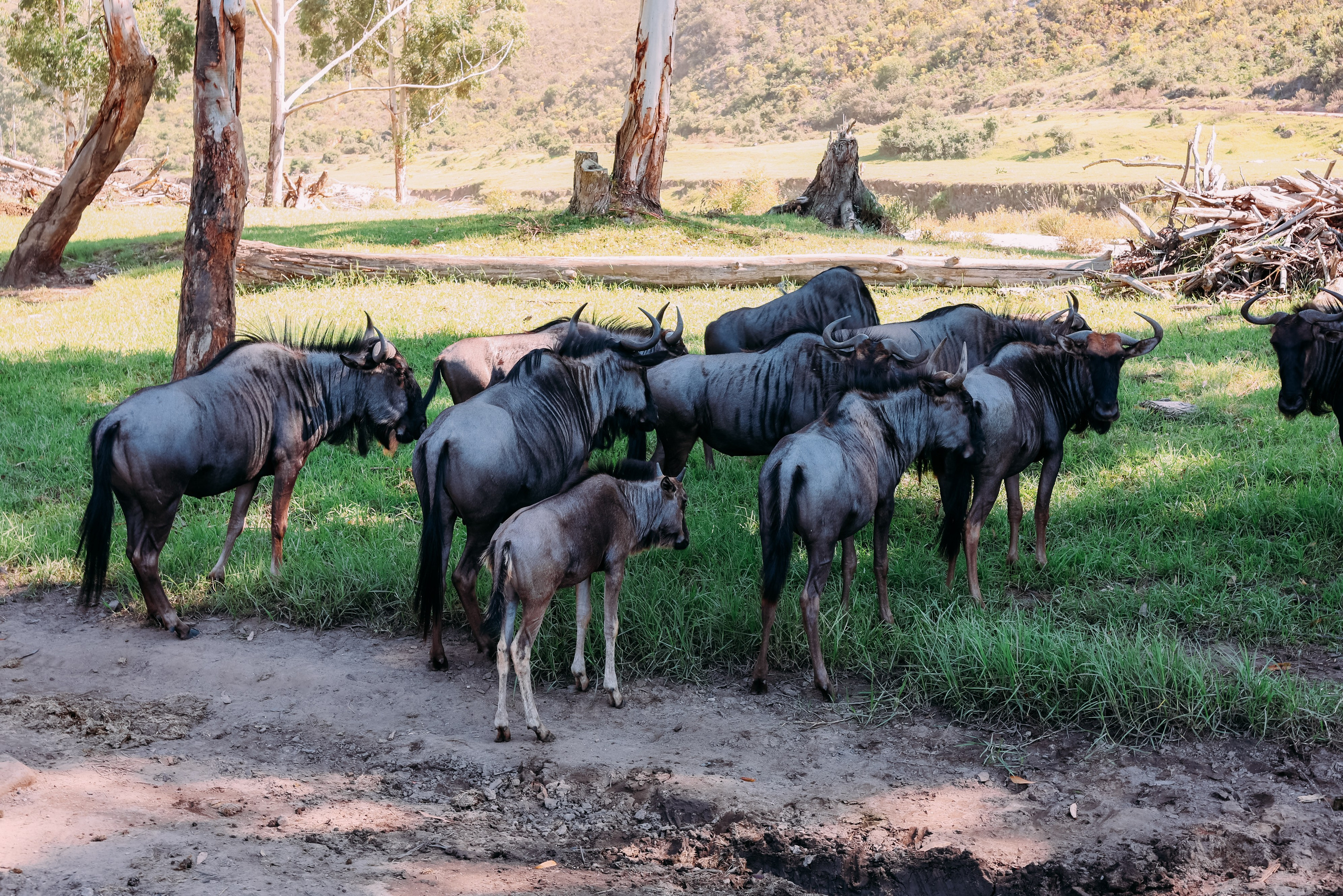 ФОТО ТУРЫ ПО МИРУ. Фотограф Марина Аблаева-Кожедуб