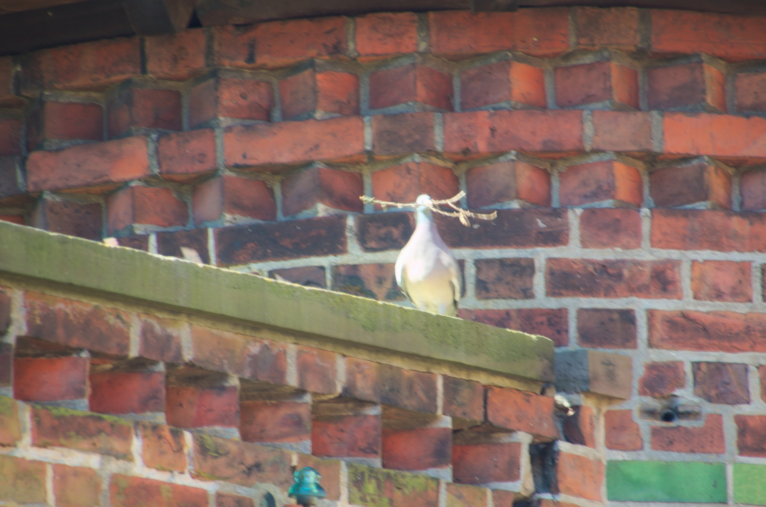 Польша | 29.04-05.05.2017. Галерея Фантим