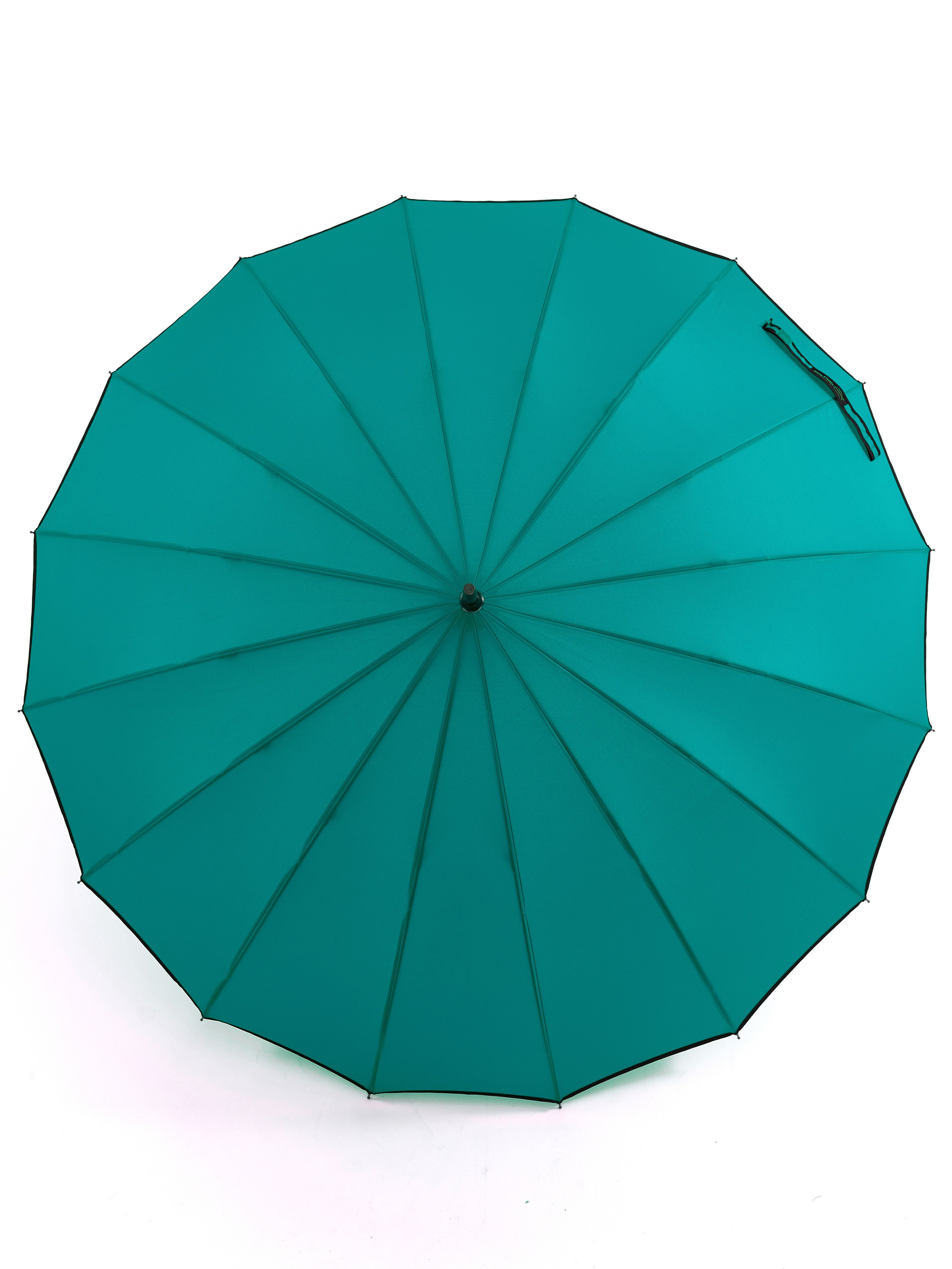 Dolphin. Zubkov Jan Hochzeitsfotograf Deutschland