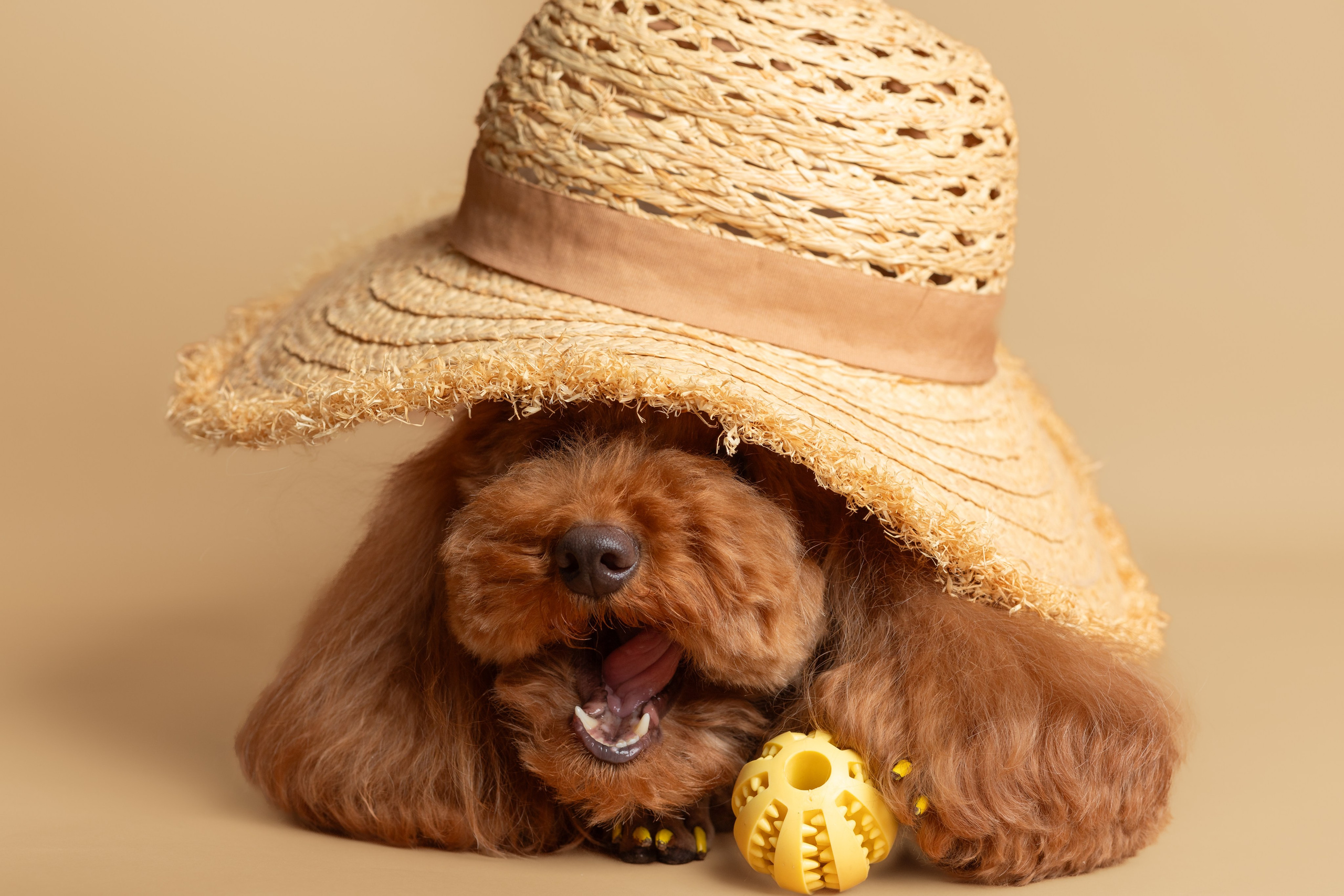 СЪЕМКИ ДОМА