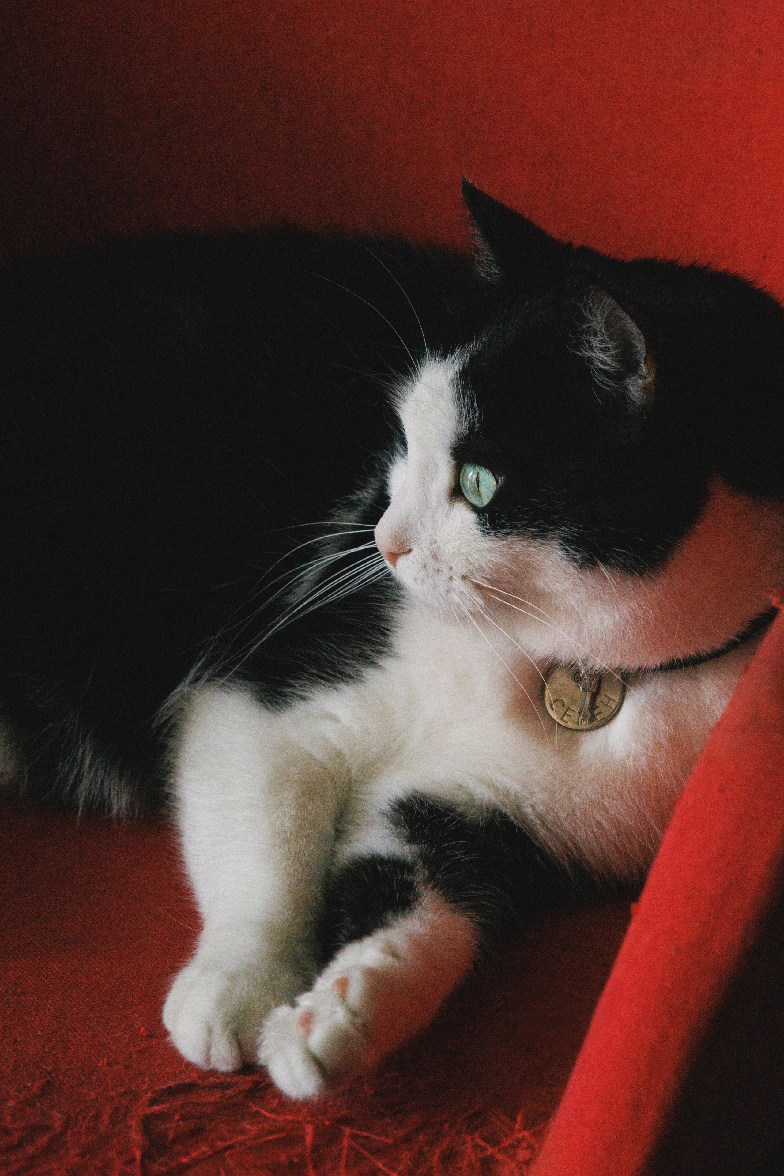 V ❤ V. Syrovatkina_Photographer.ru