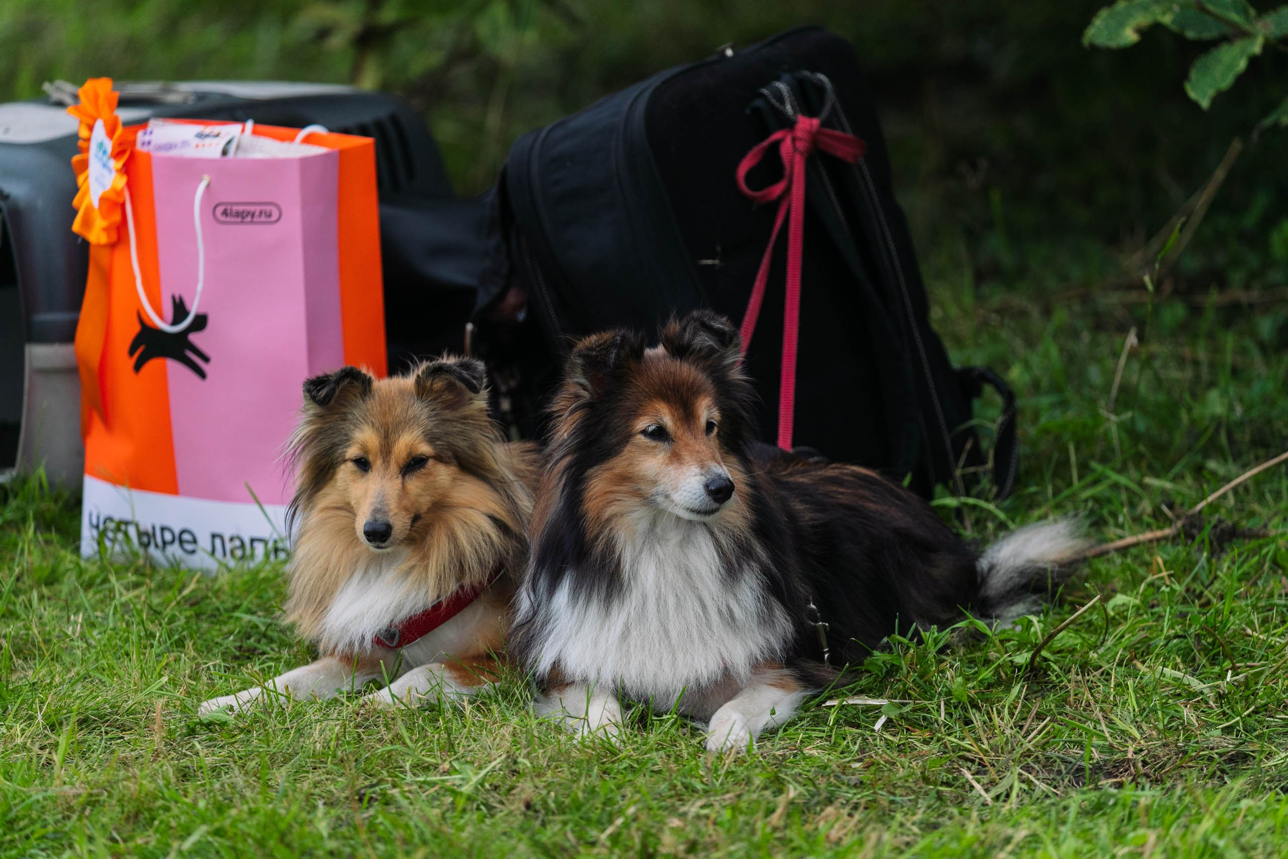 ЭкоОхта — 2023. Репортажный и концертный фотограф в Санкт-Петербурге Адмакина Дарья