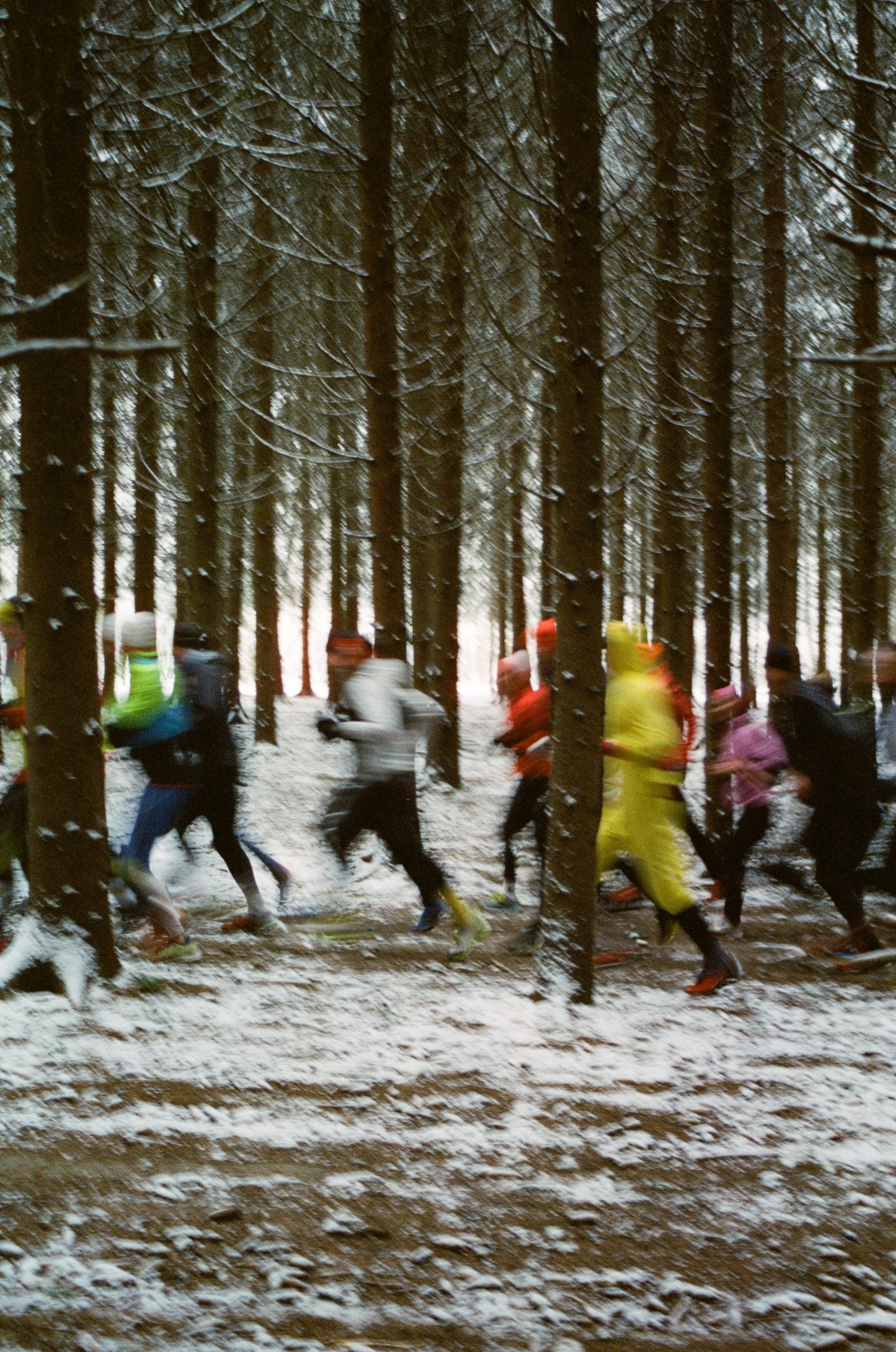 Репортажная съемка. Фотограф Диана Иремадзе