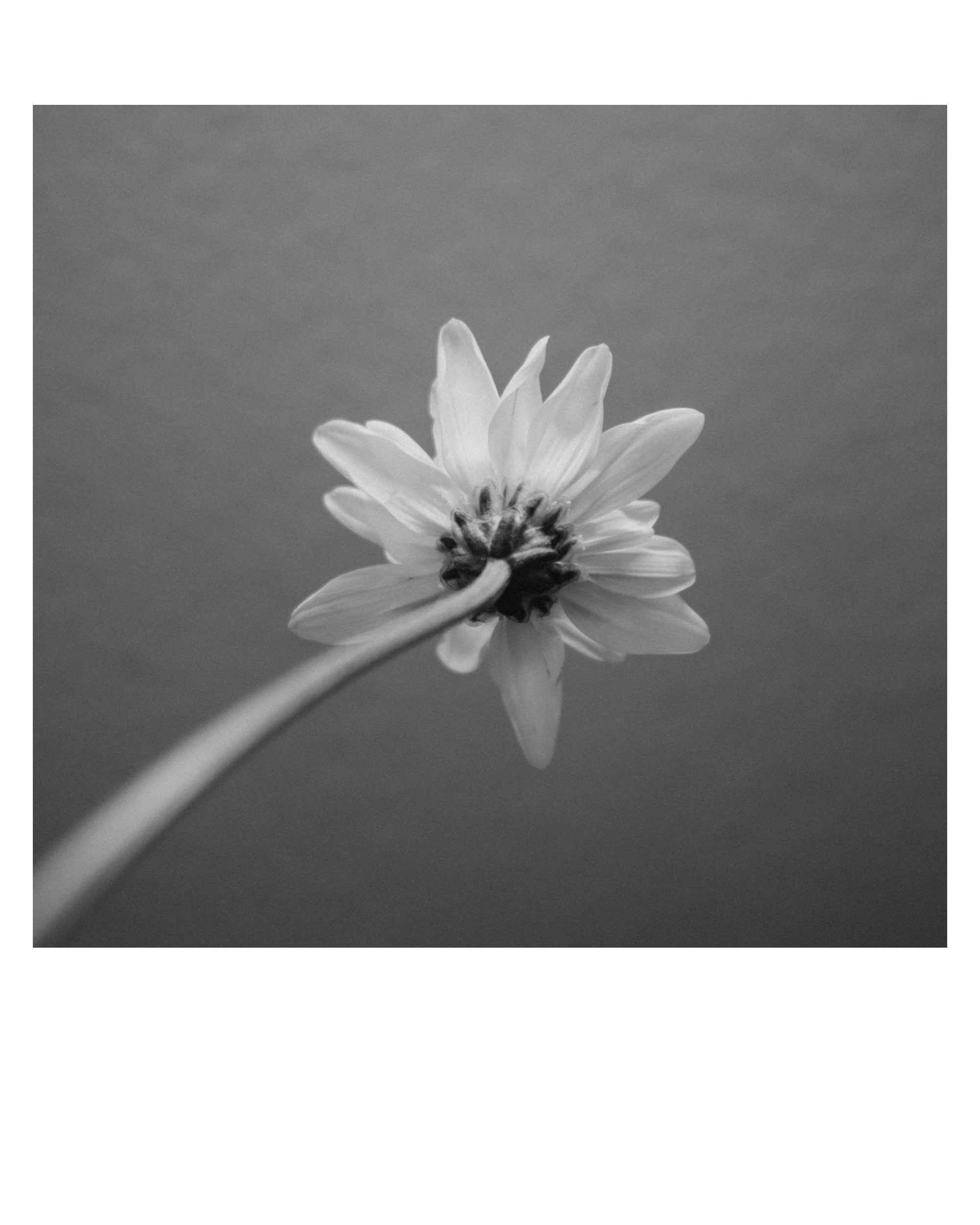 Товары. Фотограф Алиса Аспер