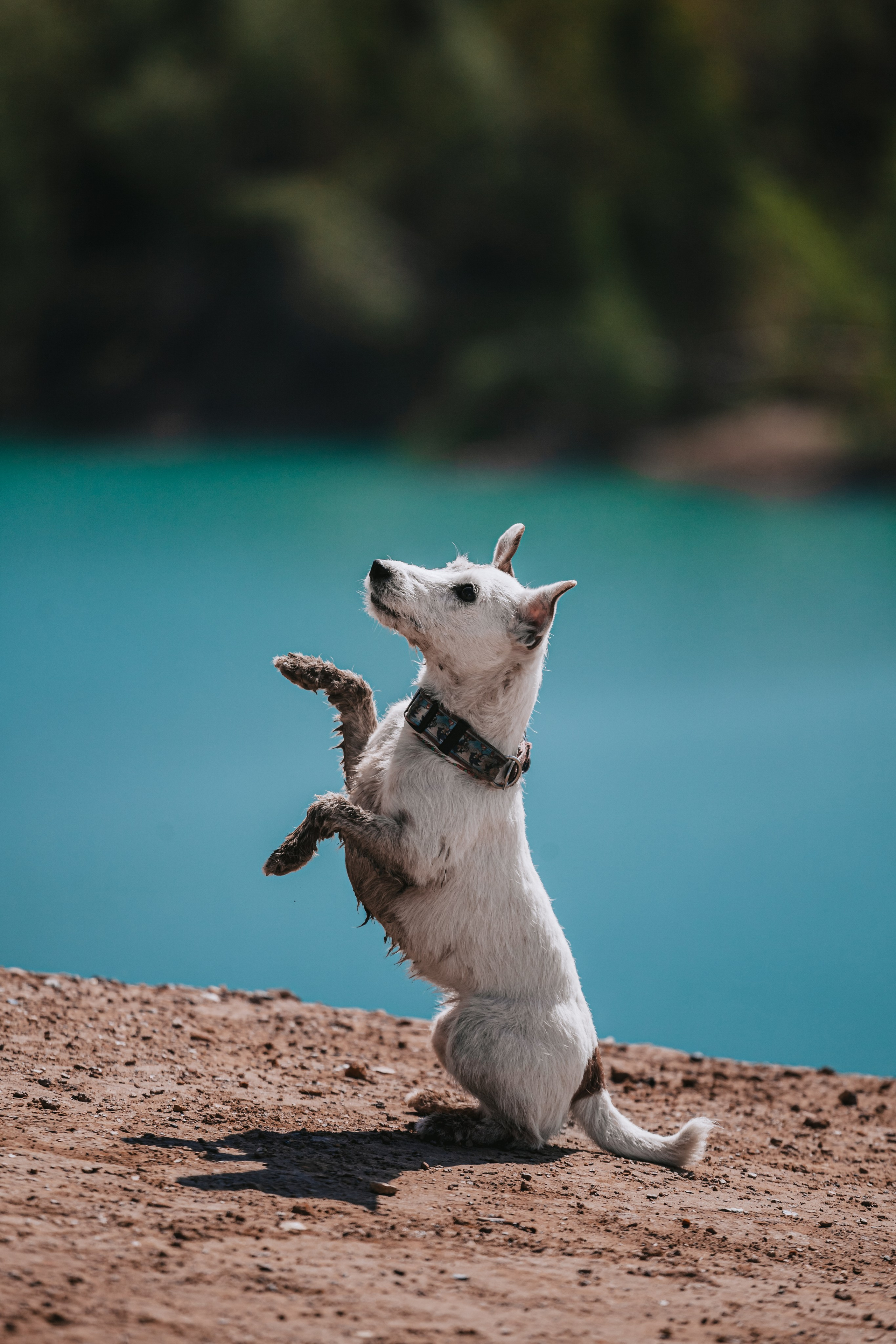 Кондуки. Фотограф-анималист Татьяна Степанова