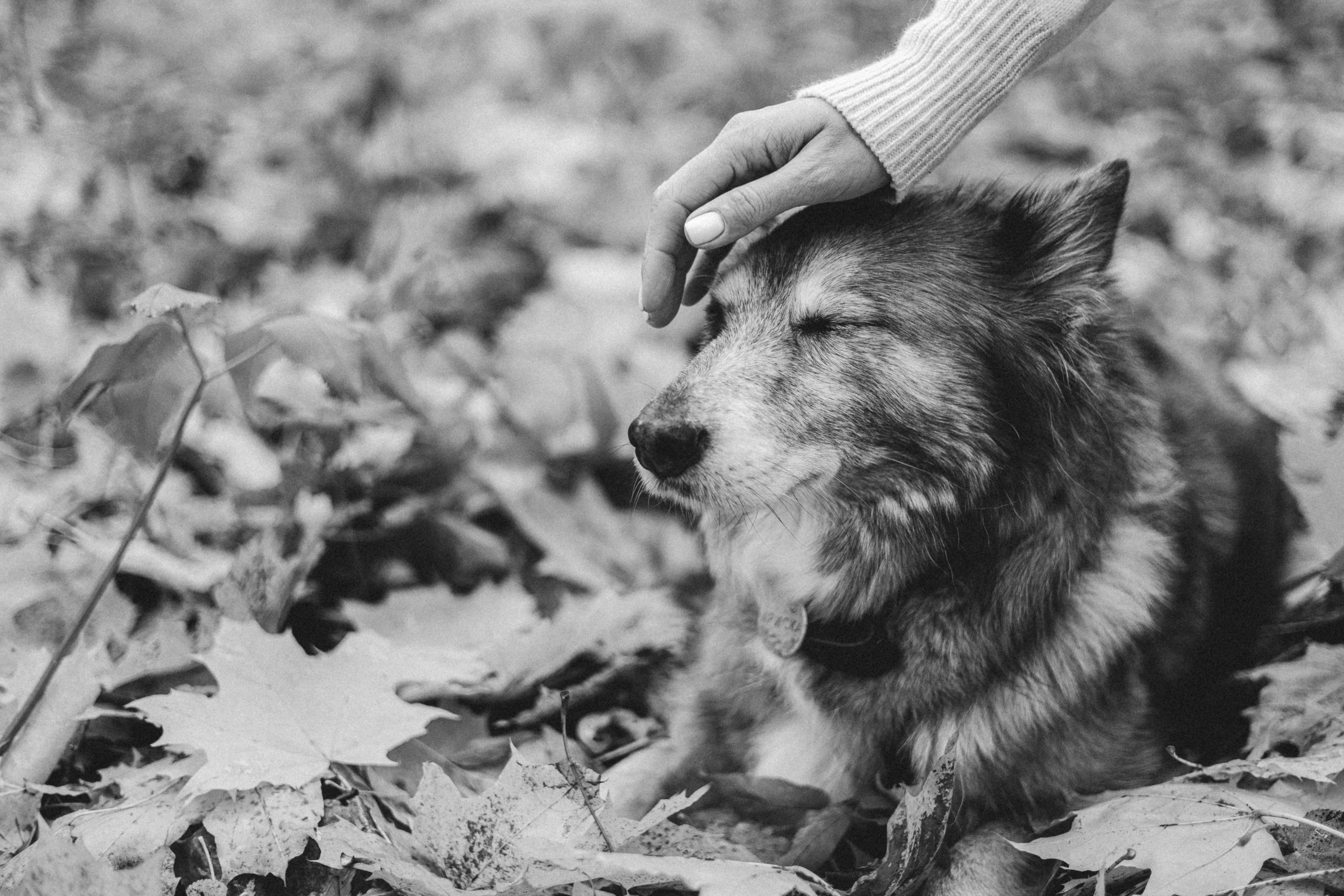 Аня и Ириска. Фотограф Анна Луценко Москва