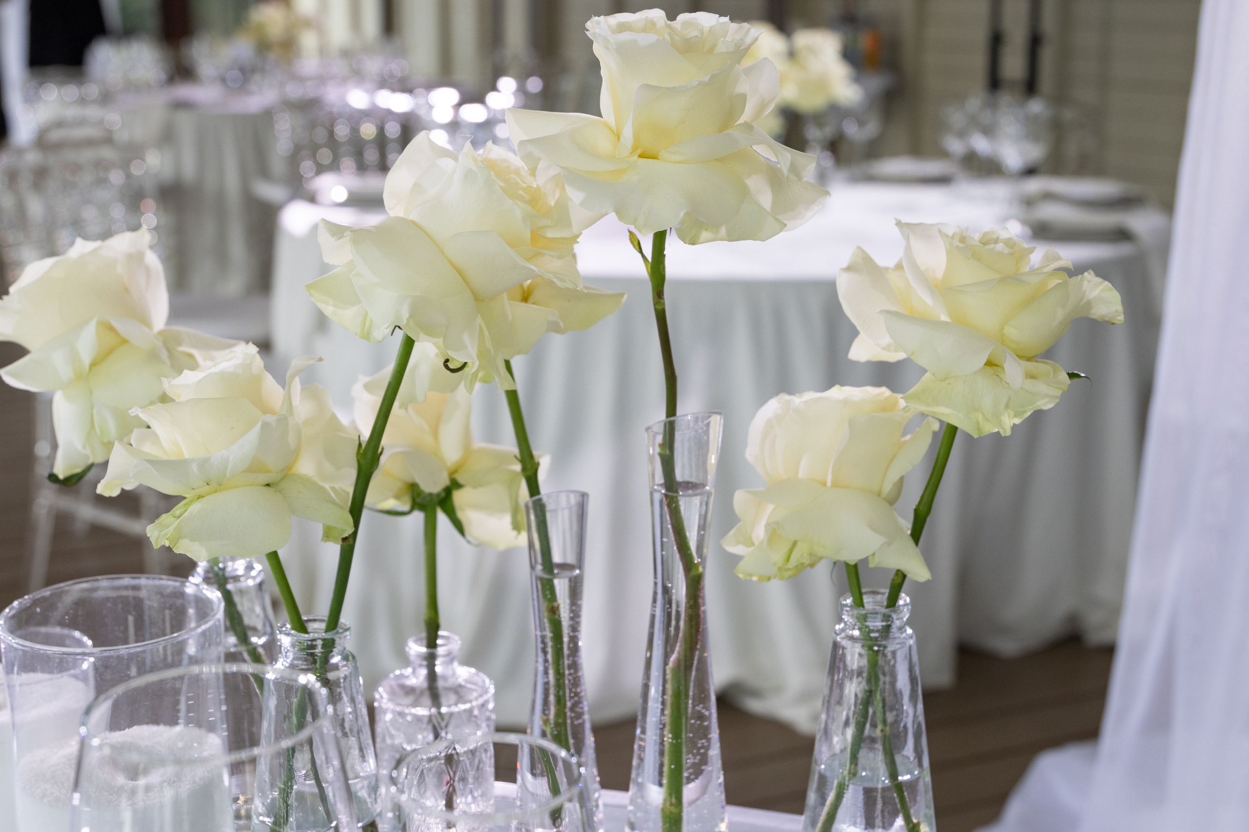 Фотограф Наталия Шептаева город Москва